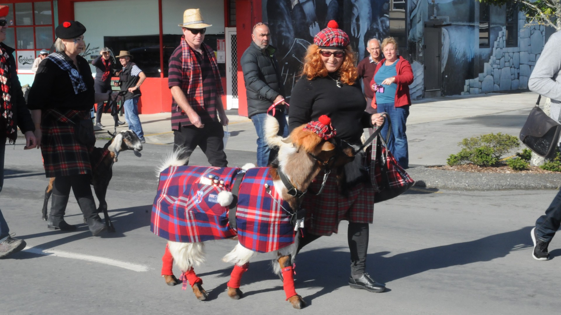 Caro Brooking with her goat, Masport, at the Waipū pet parade. Photo / Dan Sloane