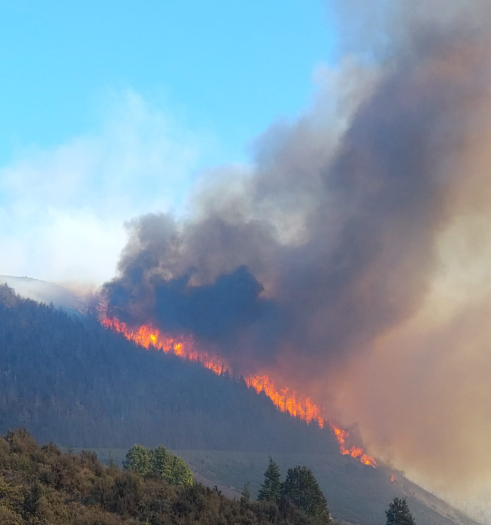 The fire on Bridge Hill has a 17km perimeter. Photo / Fire and Emergency New Zealand