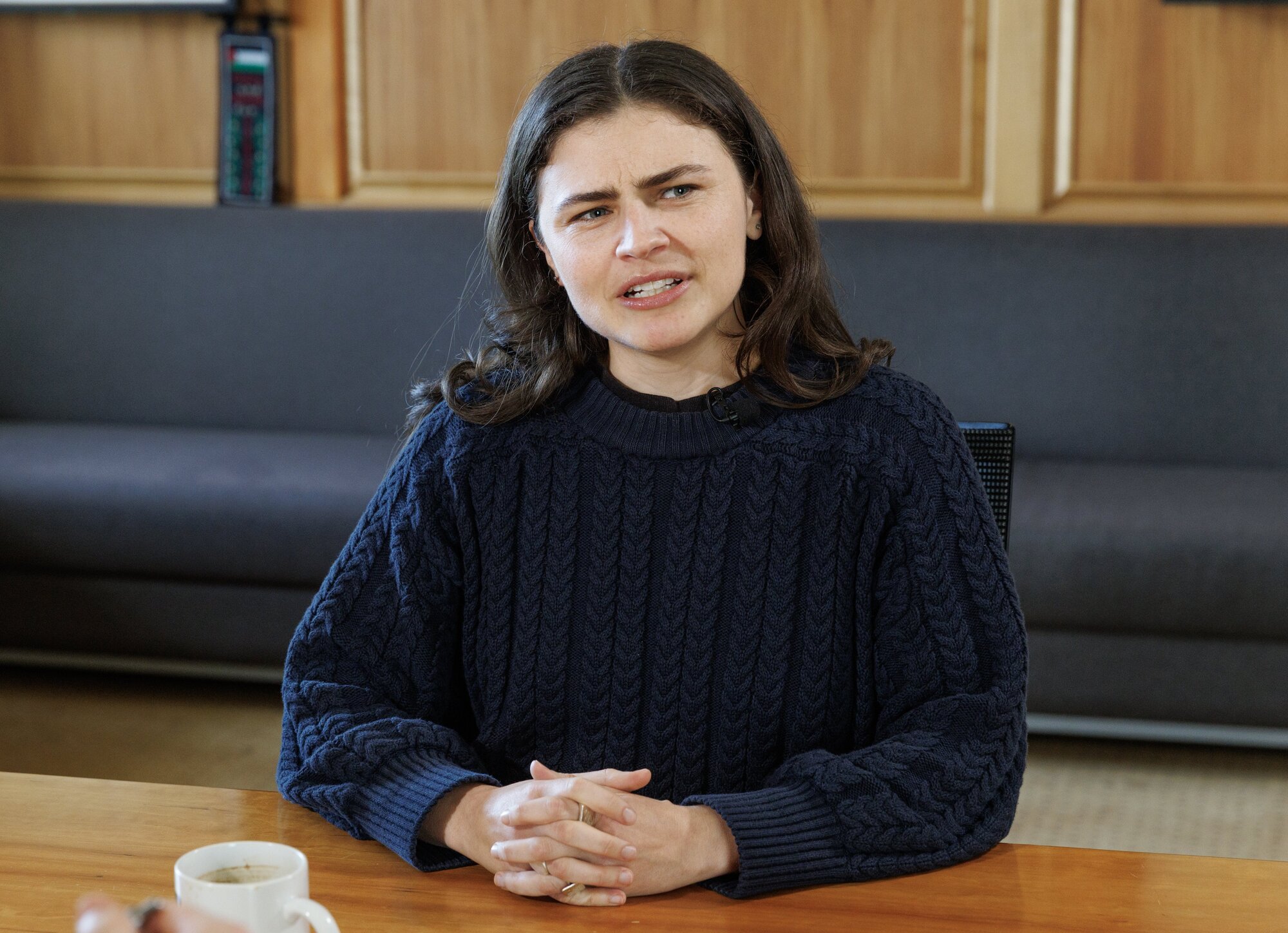 Greens co-leader Chlöe Swarbrick has asked members to consider where they place their energy. Photo / Mark Mitchell