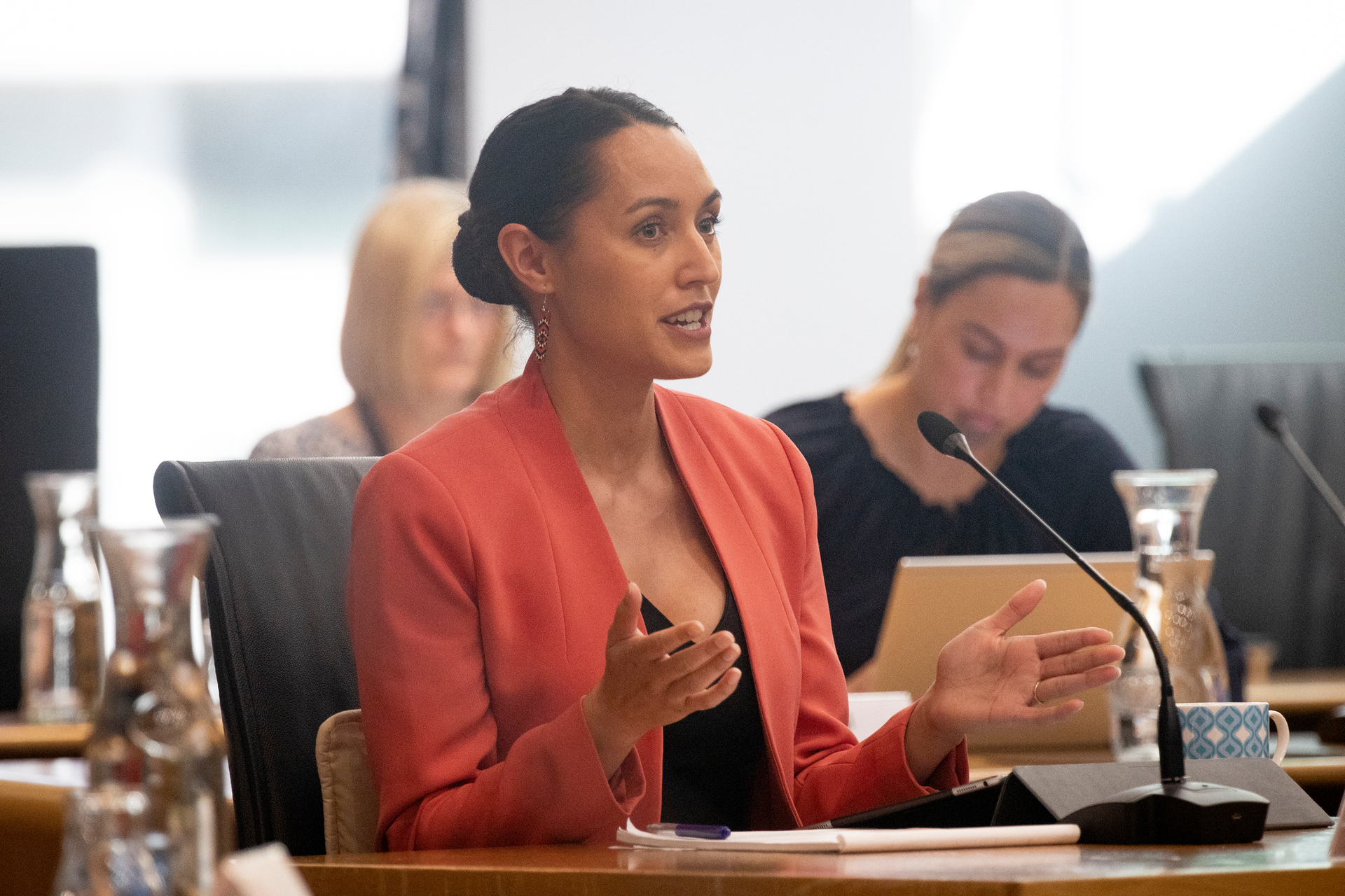 Tapsell in a council committee meeting in 2021. Photo / Andrew Warner
