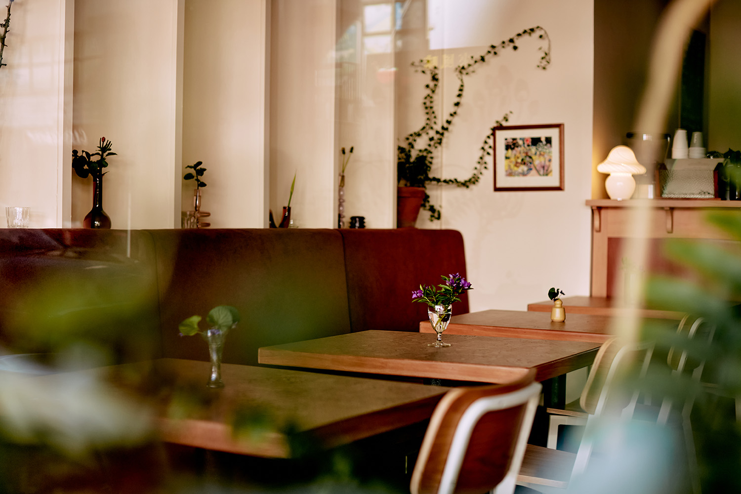 The new dining room at Forest on Dominion Rd. Photo / Babiche Martens
