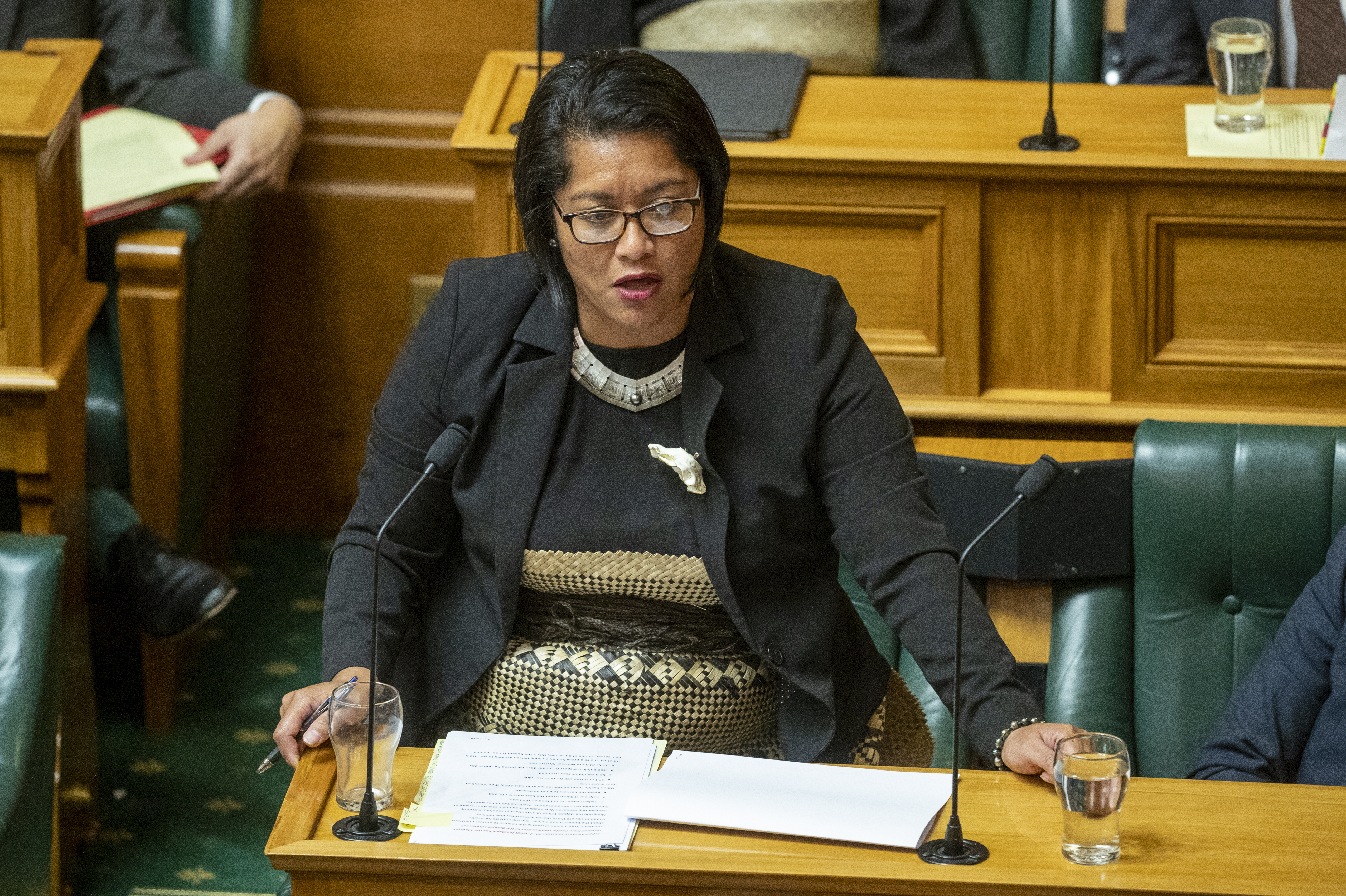 Barbara Edmonds, still a first-term MP, picked up hefty portfolios this year and is already a safe pair of hands. Photo / Mark Mitchell