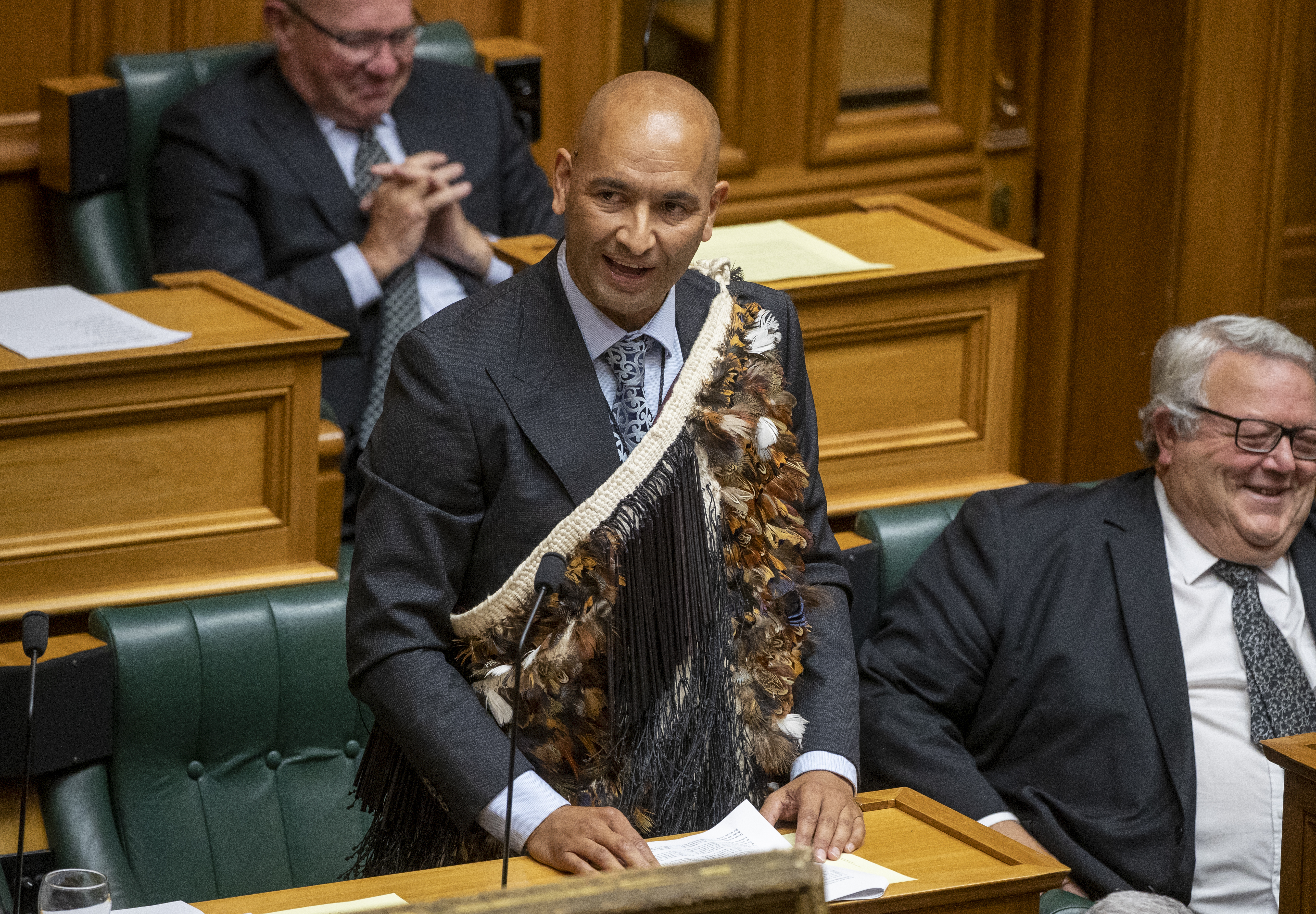 National's Hamilton West MP Tama Potaka gives his maiden statement to the House. Photo / Mark Mitchell