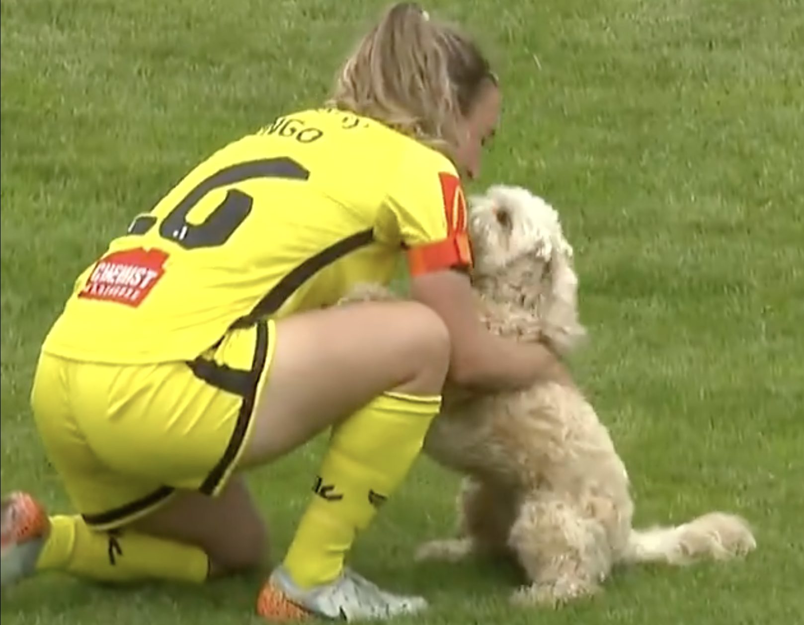 Phoenix captain Annalie Longo with her dog. Photo / Sky Sport