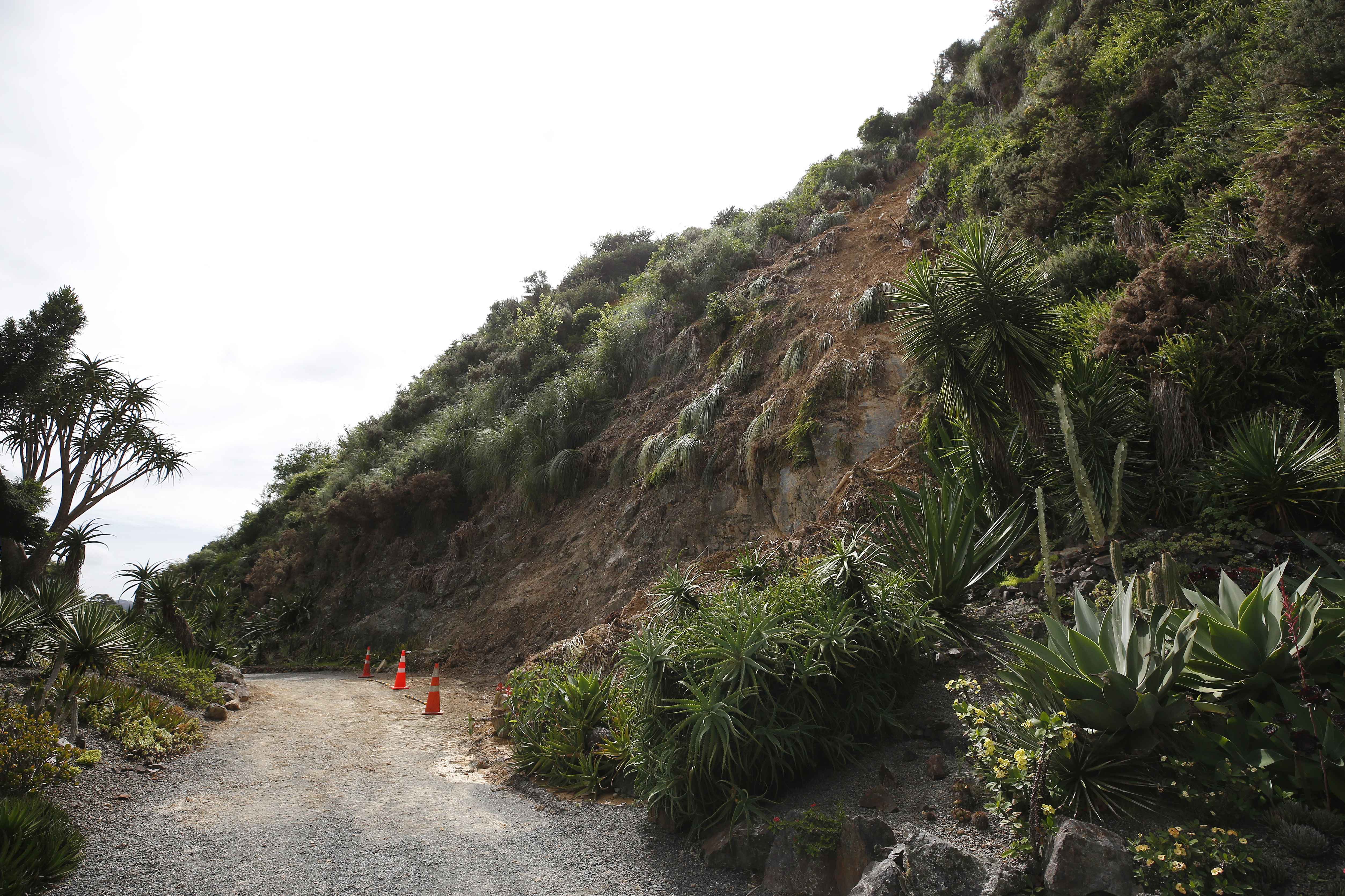 Last month's slip looks minuscule compared to the damage from Cyclone Gabrielle. Photo / Michael Cunningham