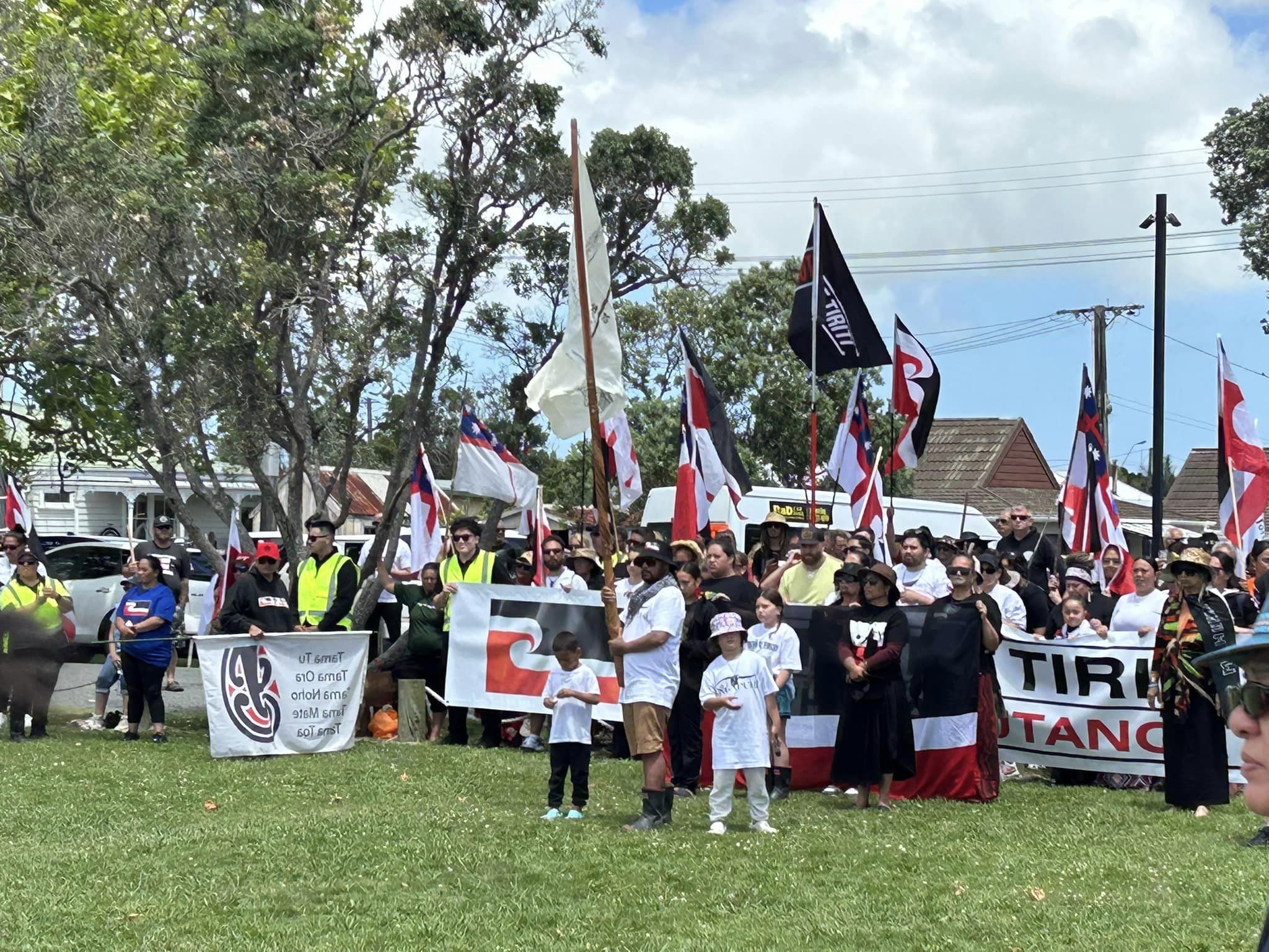 Linda Munn designed the Tino Rangatiratanga flag which is flying high today. Photo / Supplied