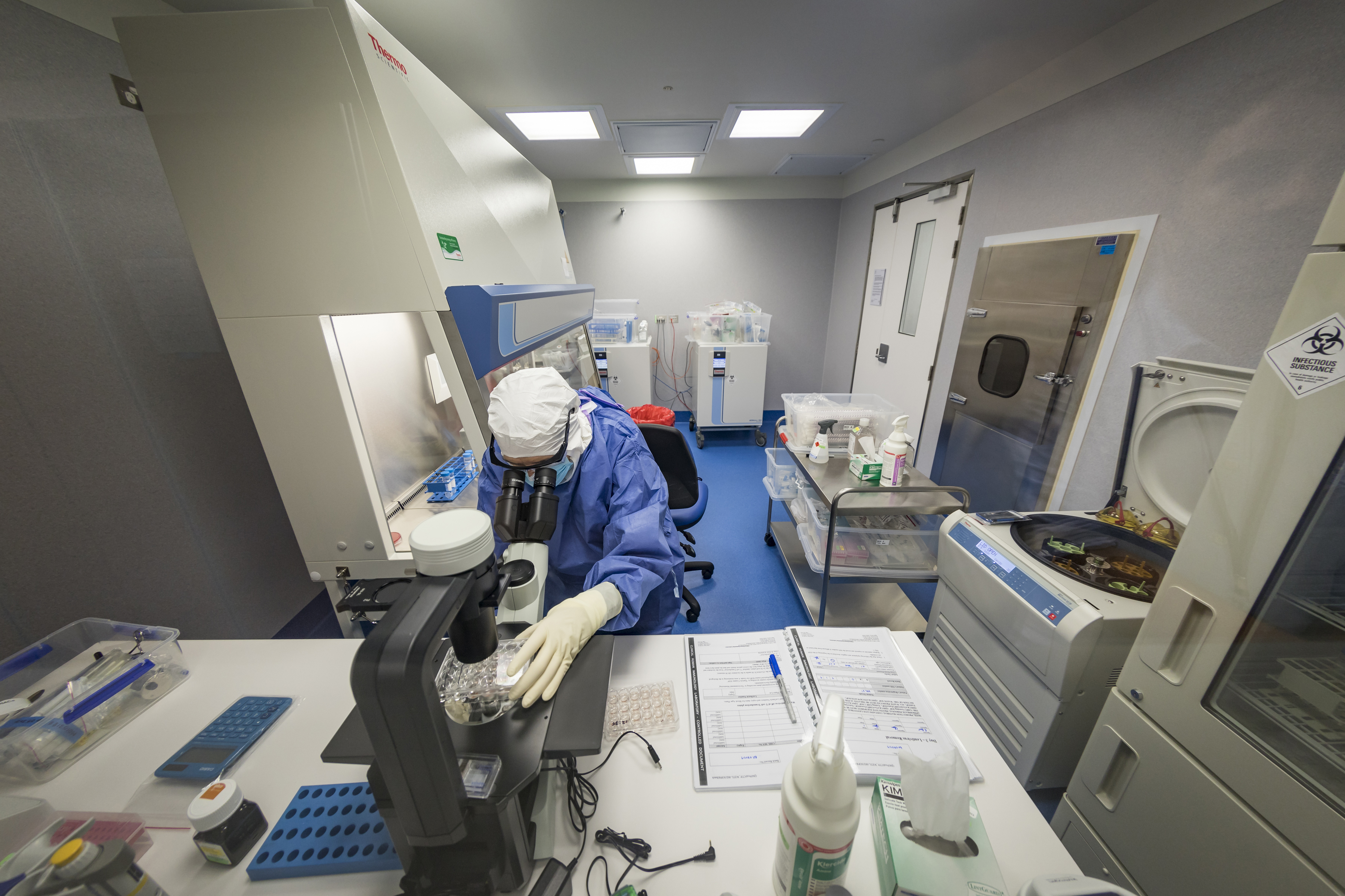 Malaghan Institute researchers are trying to find a CAR T-cell therapy more effective than current ones – but also safer and affordable – that can be introduced to our healthcare system. Photo / Supplied
