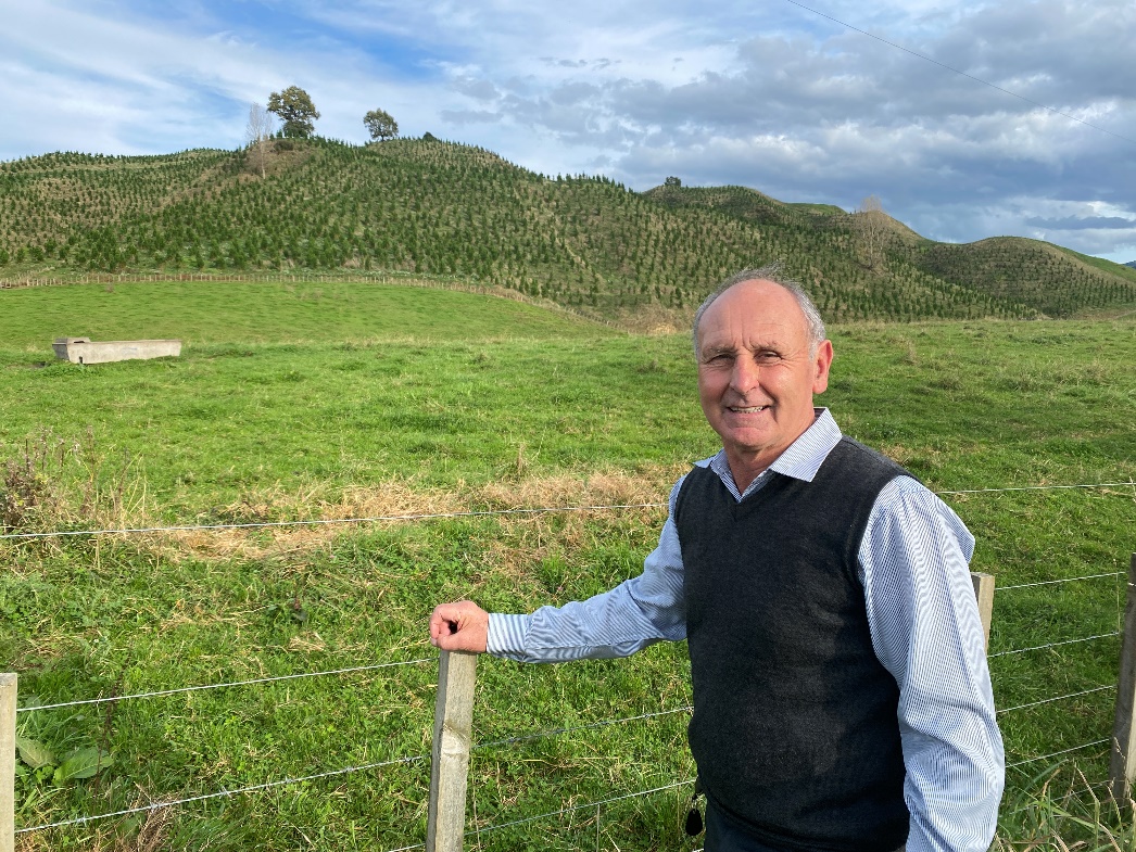 Ruapehu Mayor Weston Kirton says voters had their say on Māori wards when a public petition failed to get the numbers needed to demand a binding poll.