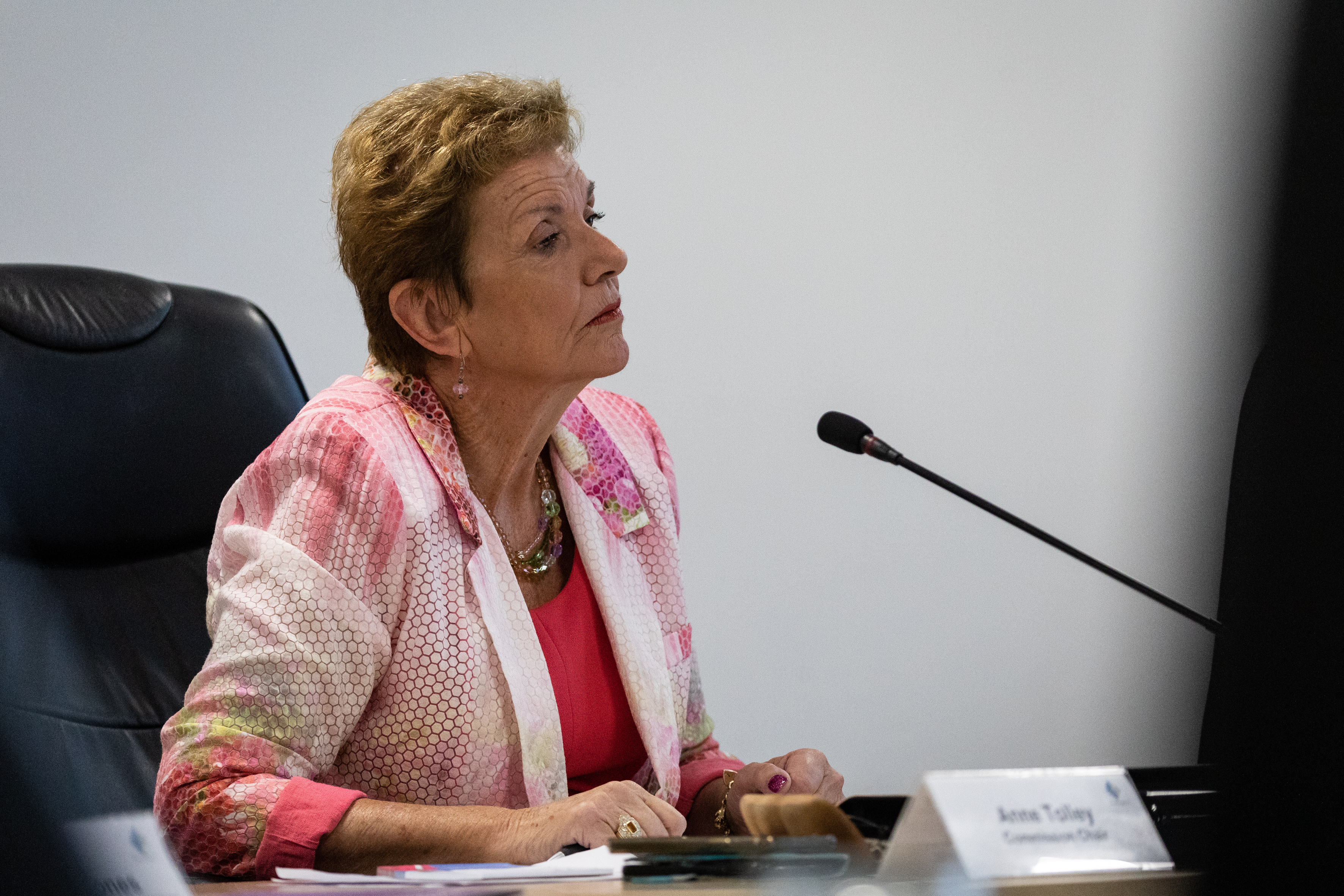 Tauranga City Council commission chairwoman Anne Tolley. Photo / Alex Cairns