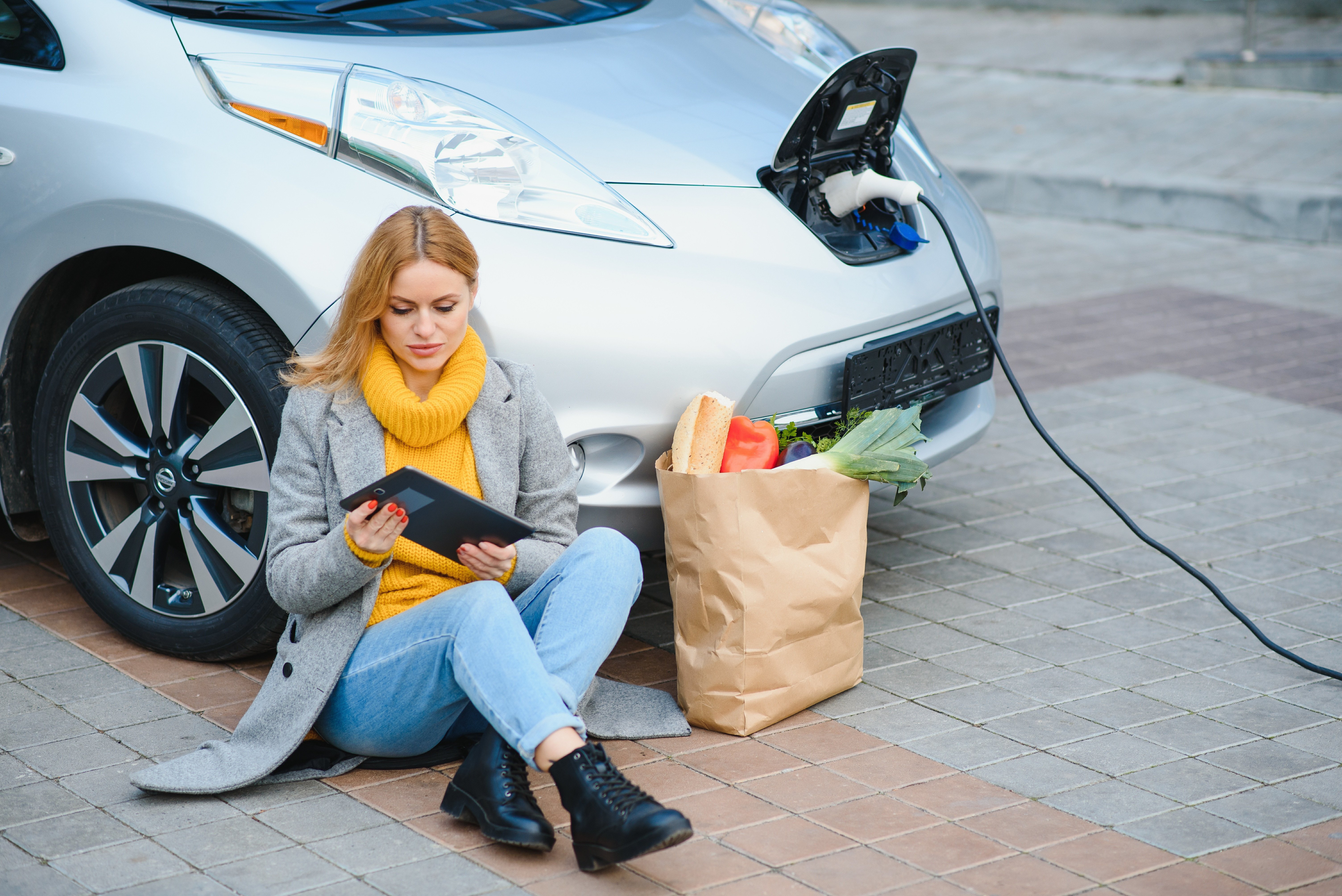 The industry's pain is buyers' gain, with recession, high interest rates, the elimination of the Clean Car Discount and the introduction of Road User Chargers stalling demand for EVs - and stoking killer deals. Photo / 123rf