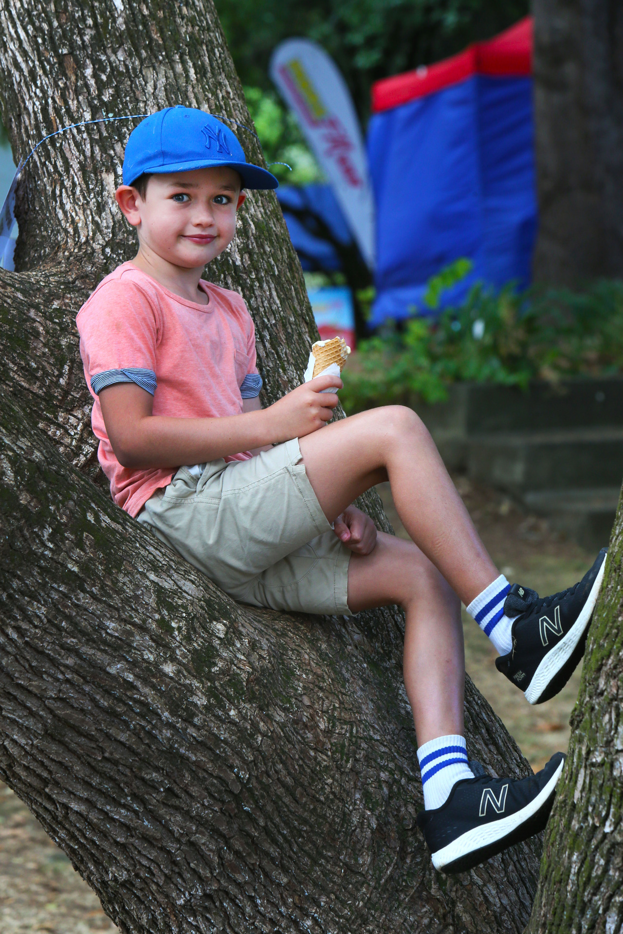 Wyatt Parry thought there was no better way to cool down than up a tree with an icecream. 

