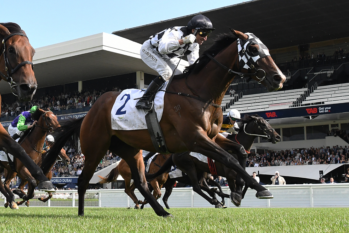 Karaka Millions: Tuxedo dressed to impress as he storms to Aotearoa Classic  glory - NZ Herald