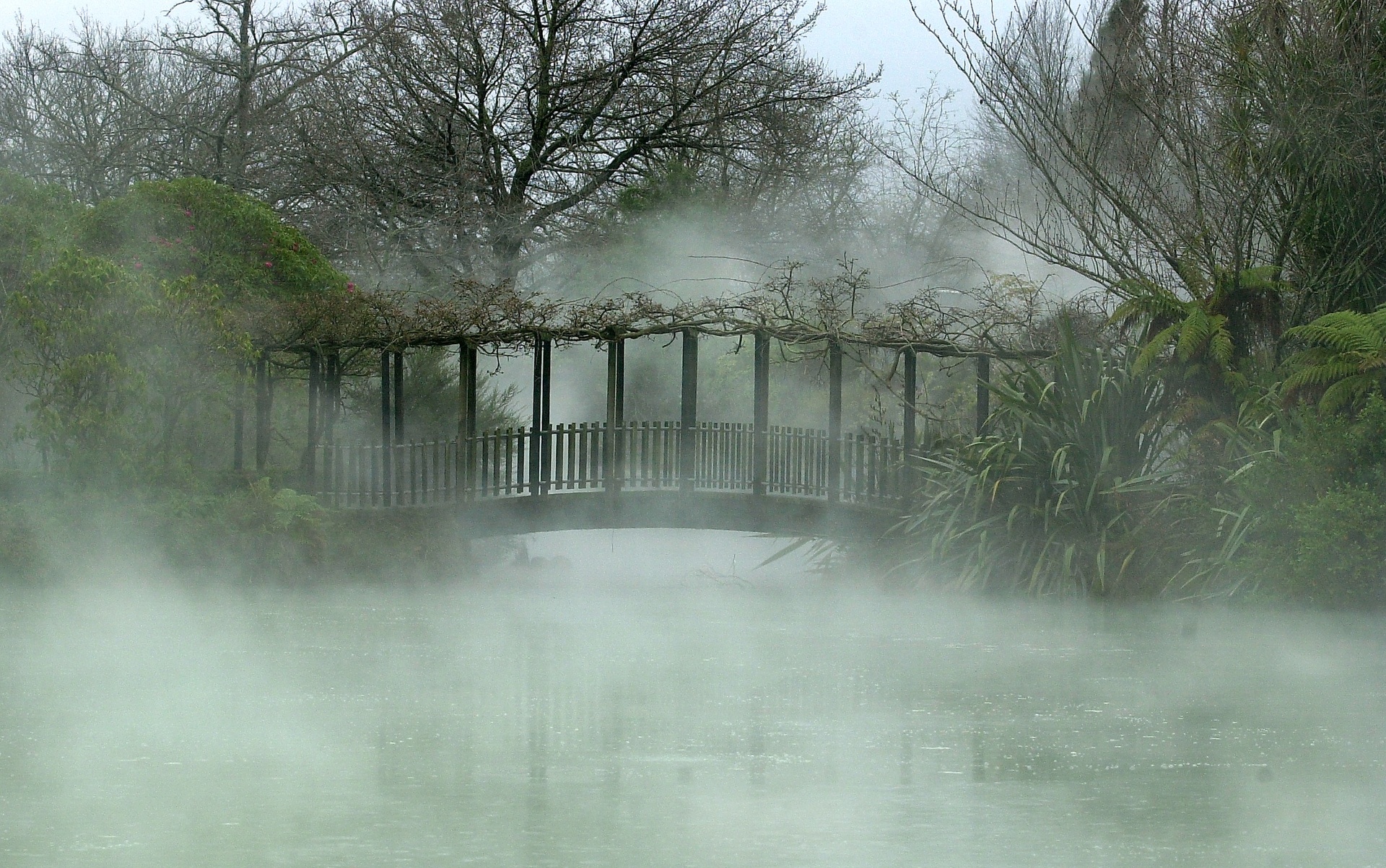 Geothermal activity in Kuirau Park. Photo / File