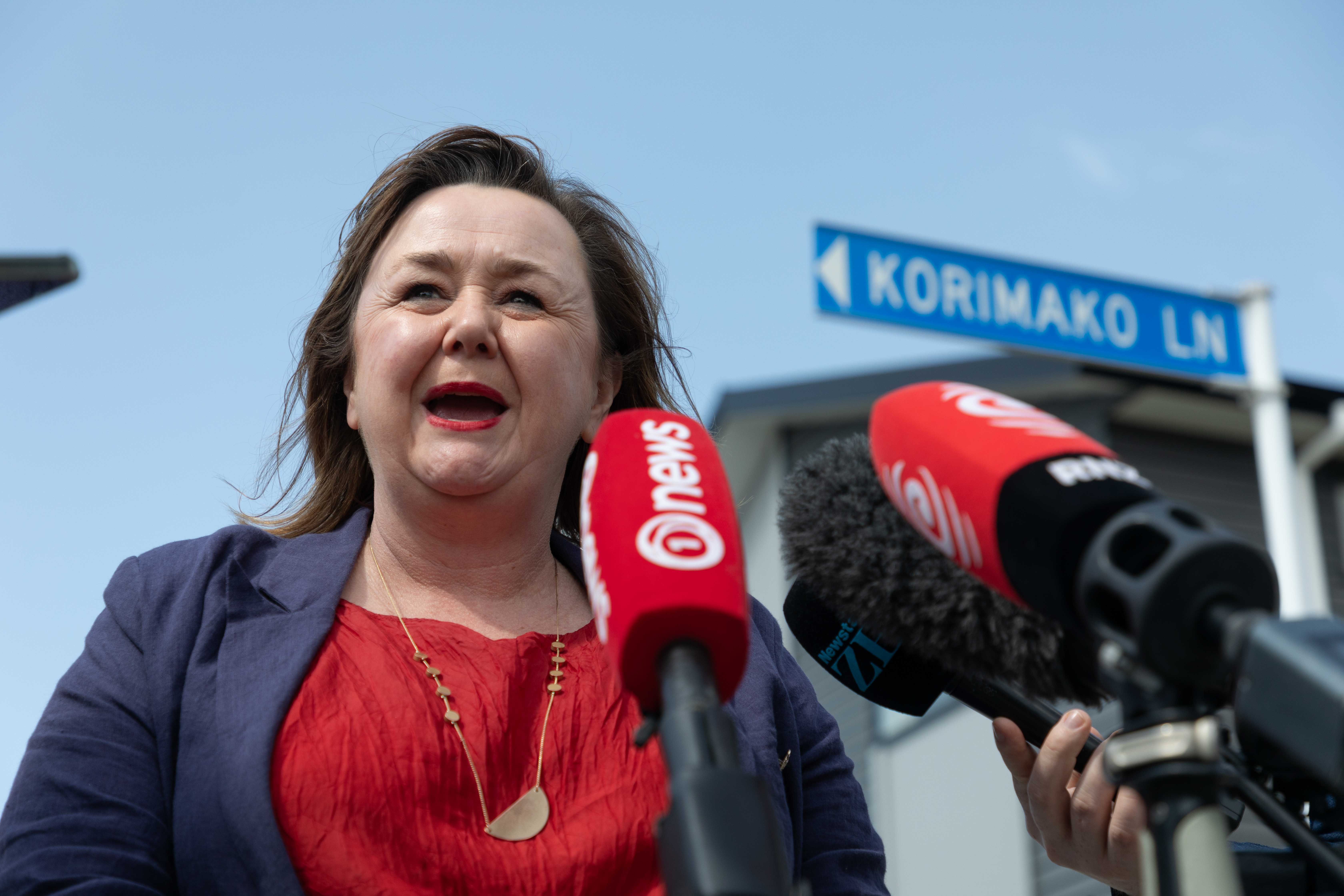 Labour's Climate Change Spokeswoman Megan Woods. Photo / Alex Cairns