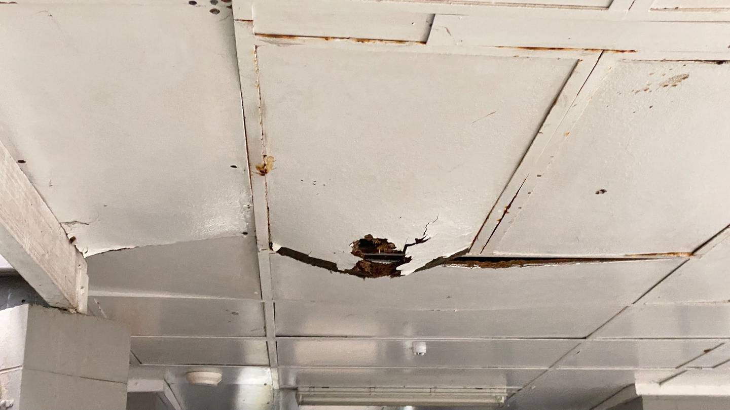Mould has since been discovered in other parts of Hutt Valley High School. Photo / Supplied