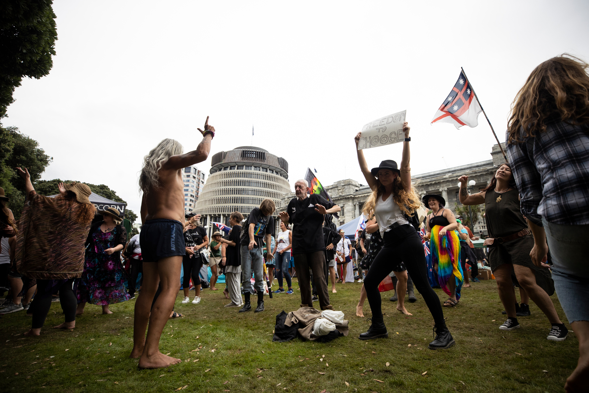 Protesters on the lawn of Parliament in Wellington. Photo / George Heard
