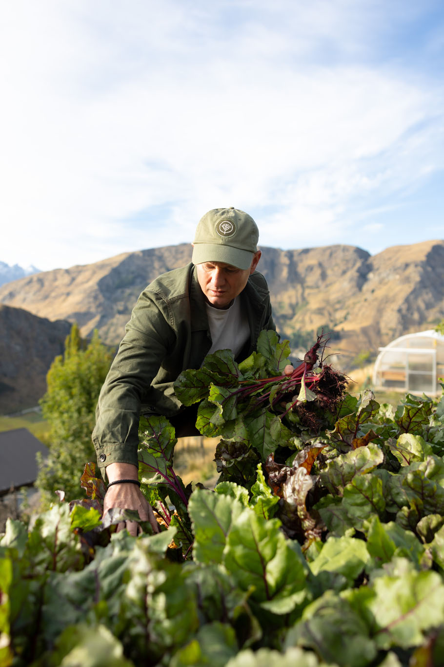 About 4000sq m on the side of Mt Dewar is being turned into a vast vegetable garden, supplying produce to executive chef Chris Scott at Queenstown’s Sherwood restaurant. Photo / Jono Parker
