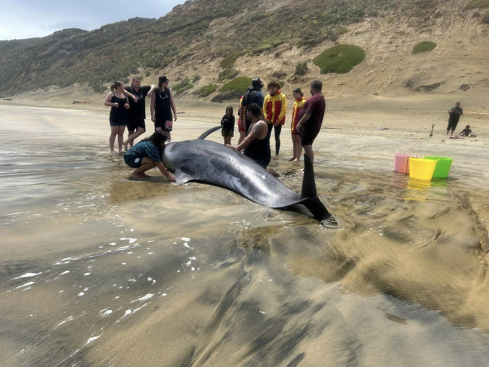 A few hundred people reportedly attended Monday's stranding on Baylys Beach.