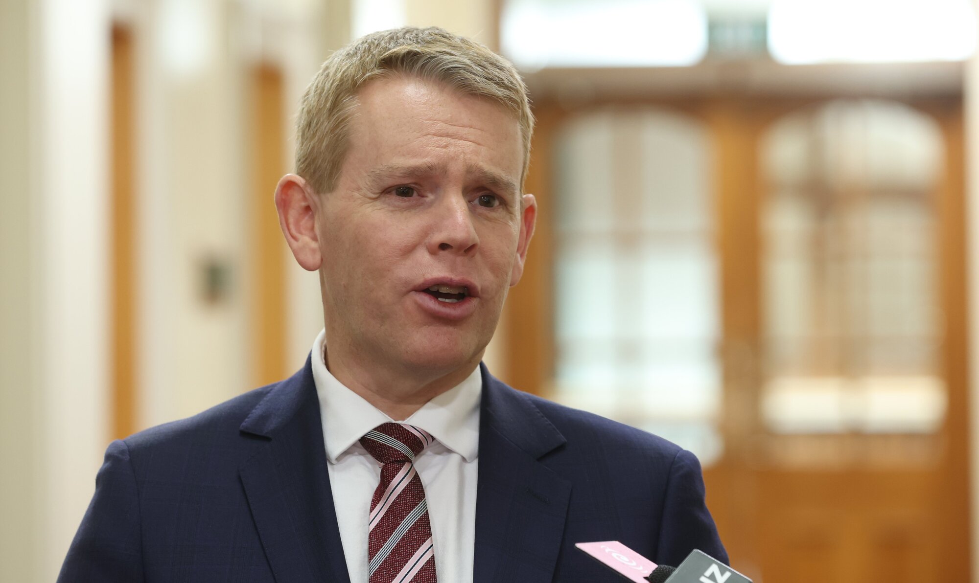 Chris Hipkins said he’d had some “informal conversations” with the Prime Minister about the deal. Photo / Mark Mitchell