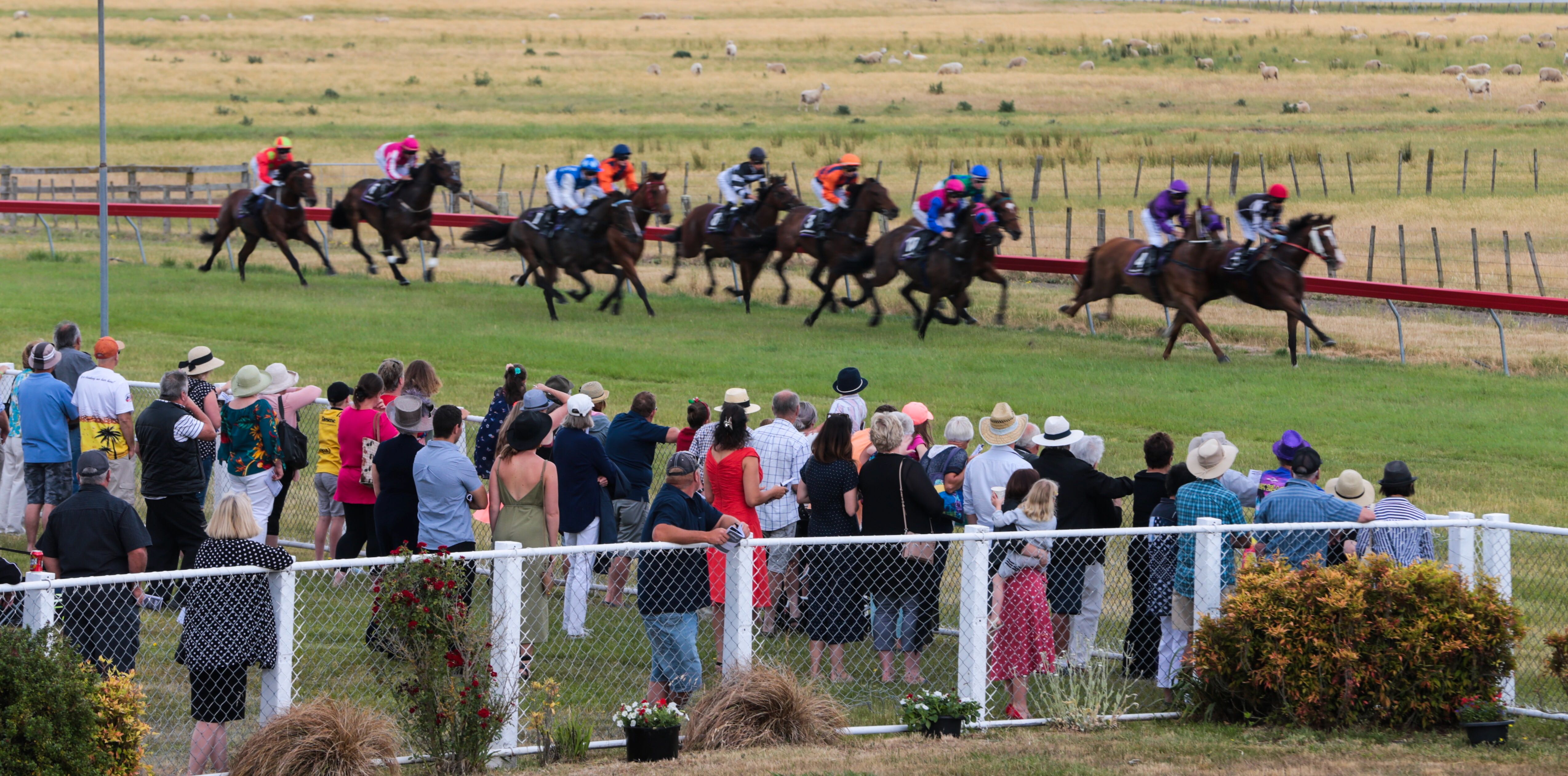 A fuel subsidy will help owners, drivers, jockeys and clubs with the rising costs associated with racing. Photo / NZME
