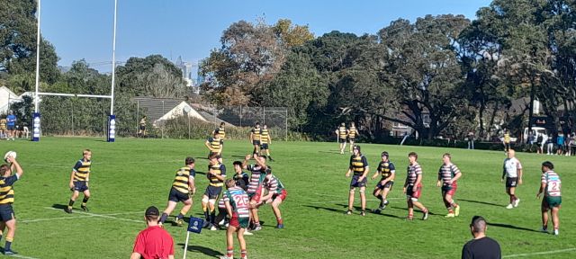Westlake Boys High in action against v Takapuna Grammar. Photo / Bruce Holloway