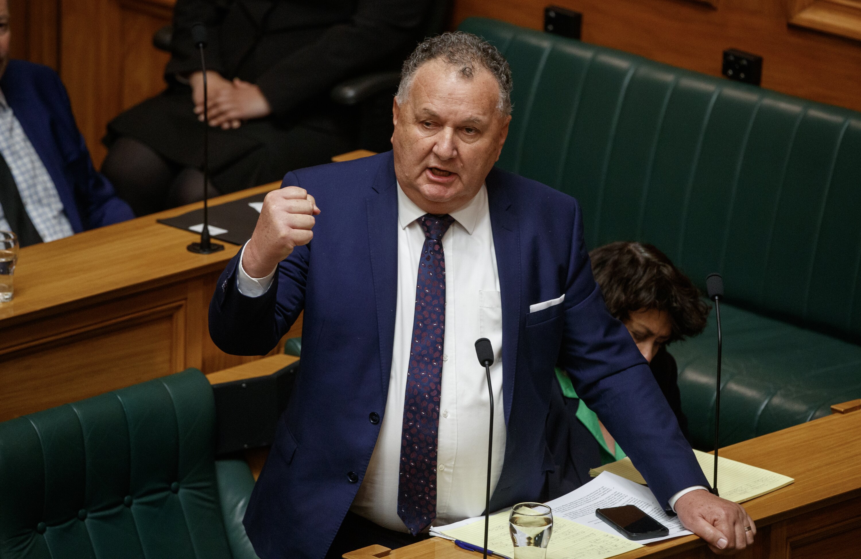NZ First MP Shane Jones wants to consider greater punishments. Photo / Mark Mitchell 