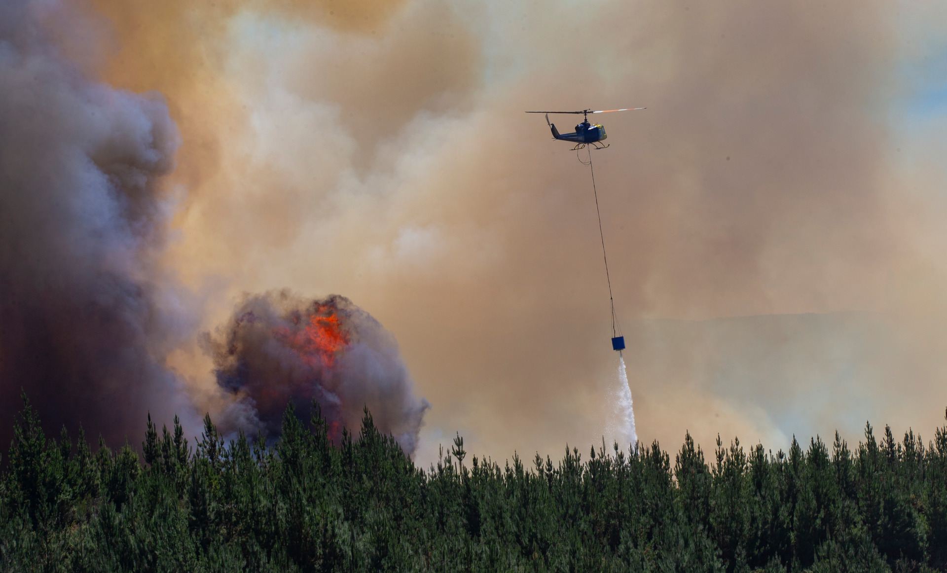 By 2040, days with very high or extreme fire danger are projected to increase by an average of 70 percent, due to hotter, drier and windier conditions. Photo / Mark Mitchell
