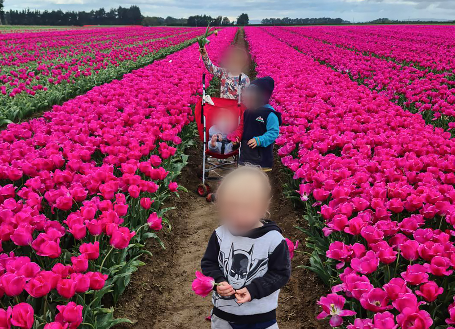 Children play among the tulips on Penny Simmonds' near Invercargill. Photo / Supplied.
