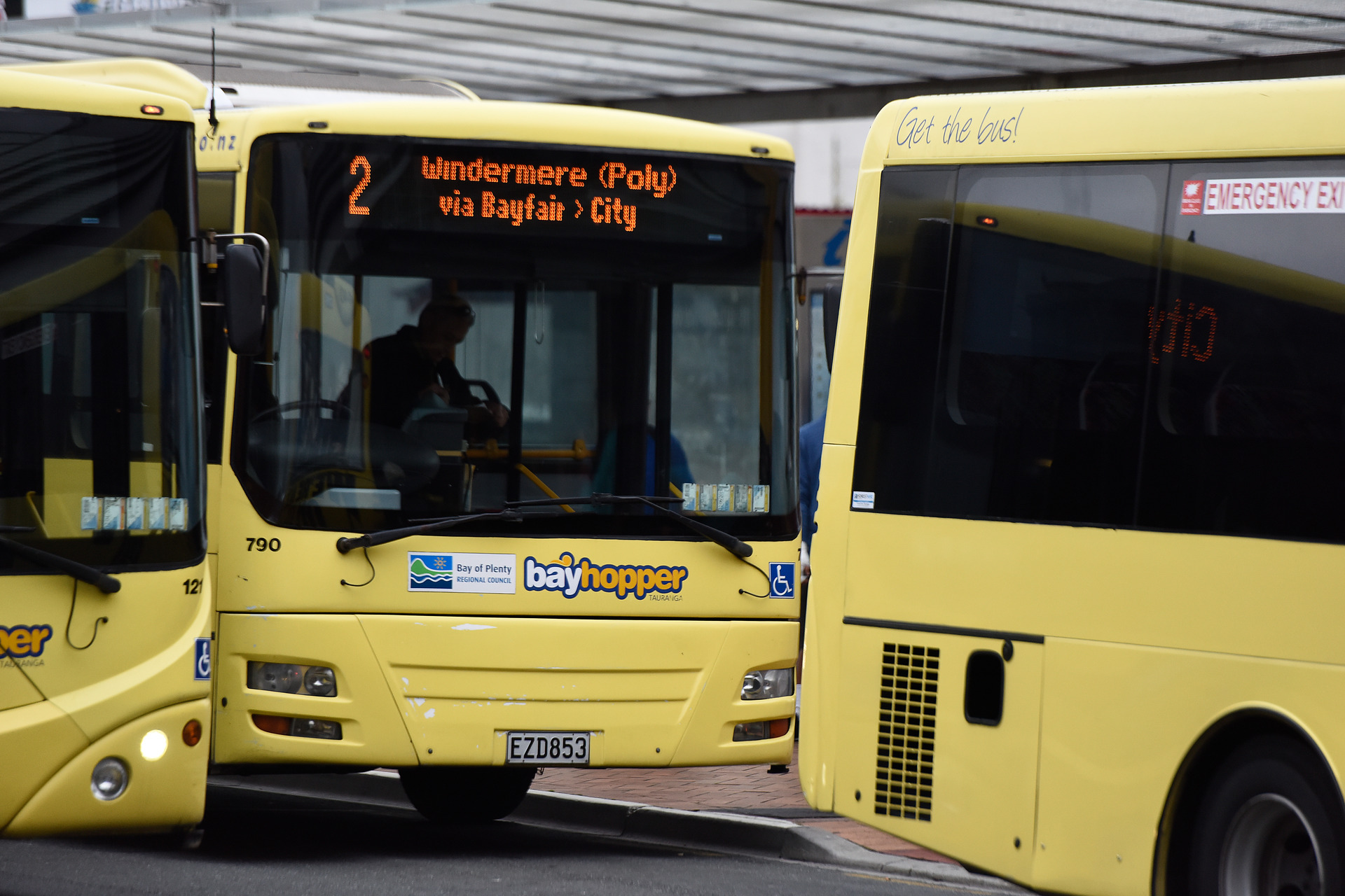 bay bus timetable tauranga