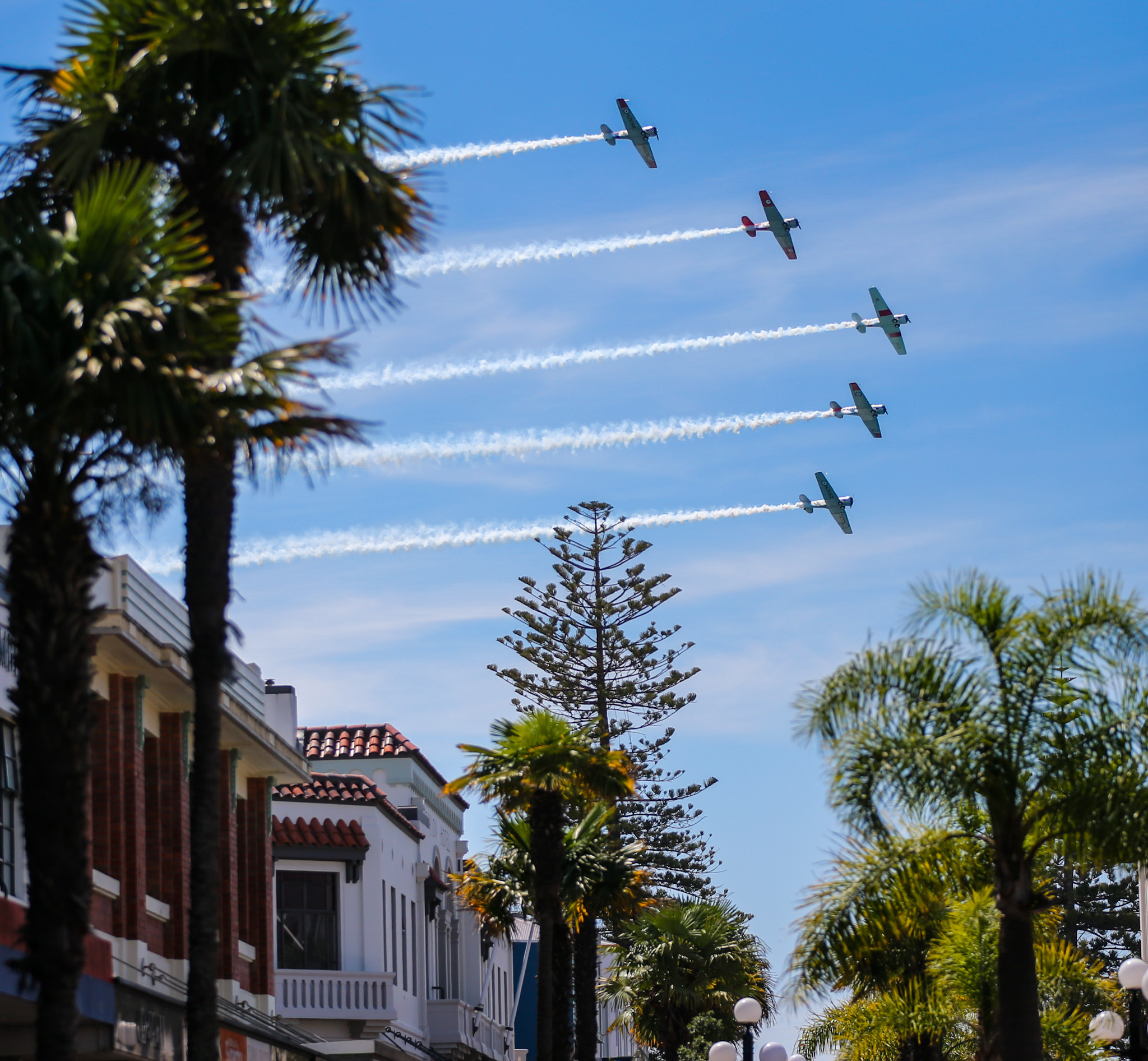 The airshows were a big highlight for festival-goers. Photo / Paul Taylor