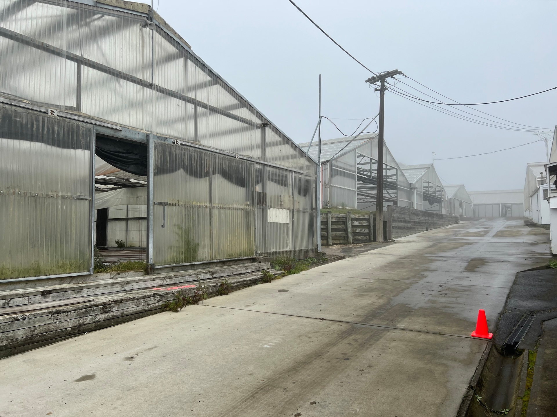 The 5.8 hectare Albany site was bought from Knights Nurseries for $66 million. Photo / Chris Keall