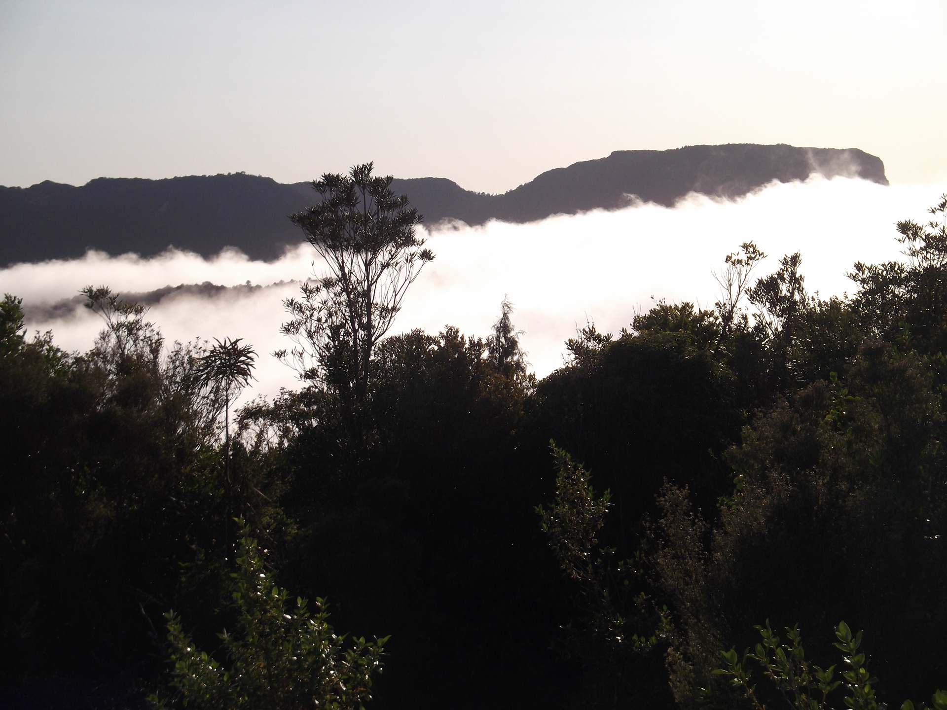Early in the morning, Table Mountain can just be seen poking out from behind the clouds. Photo / Supplied.