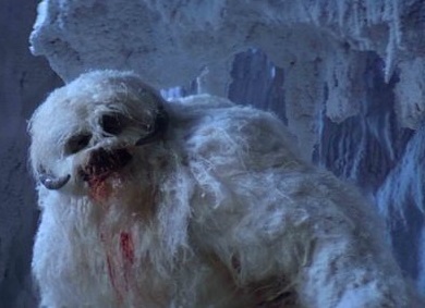 A Wampa