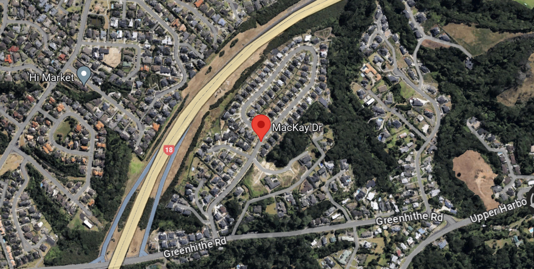 Armed police have blocked Mackay Dr at the intersection of Greenhithe Rd. Photo / Google