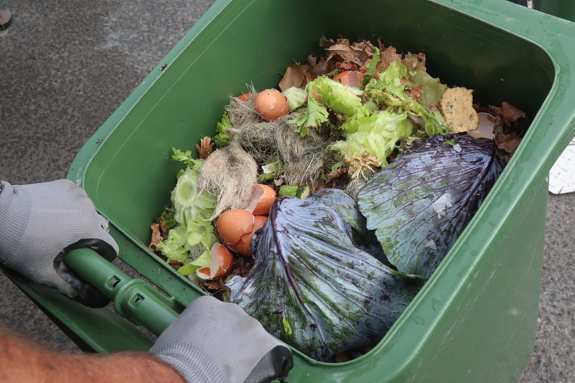 A majority of submissions on the council's plans do not favour food waste collection for Whanganui.
Photo / Bevan Conley