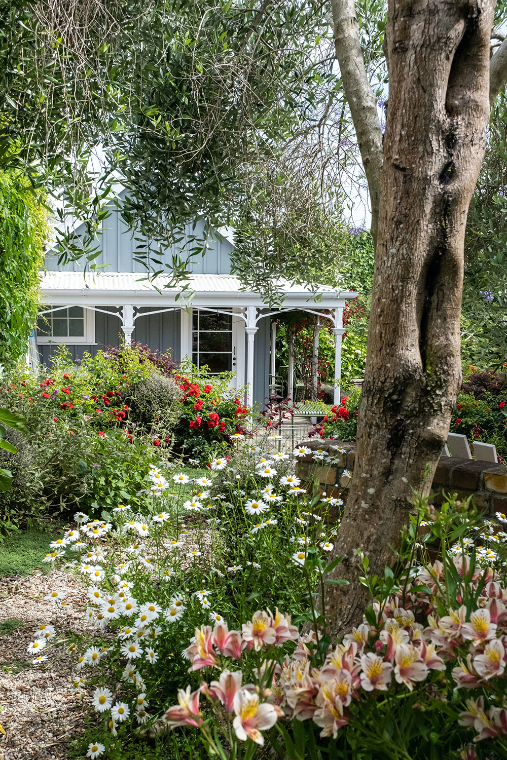 Xanthe White recommends splashing colour across your garden. Photo / Supplied