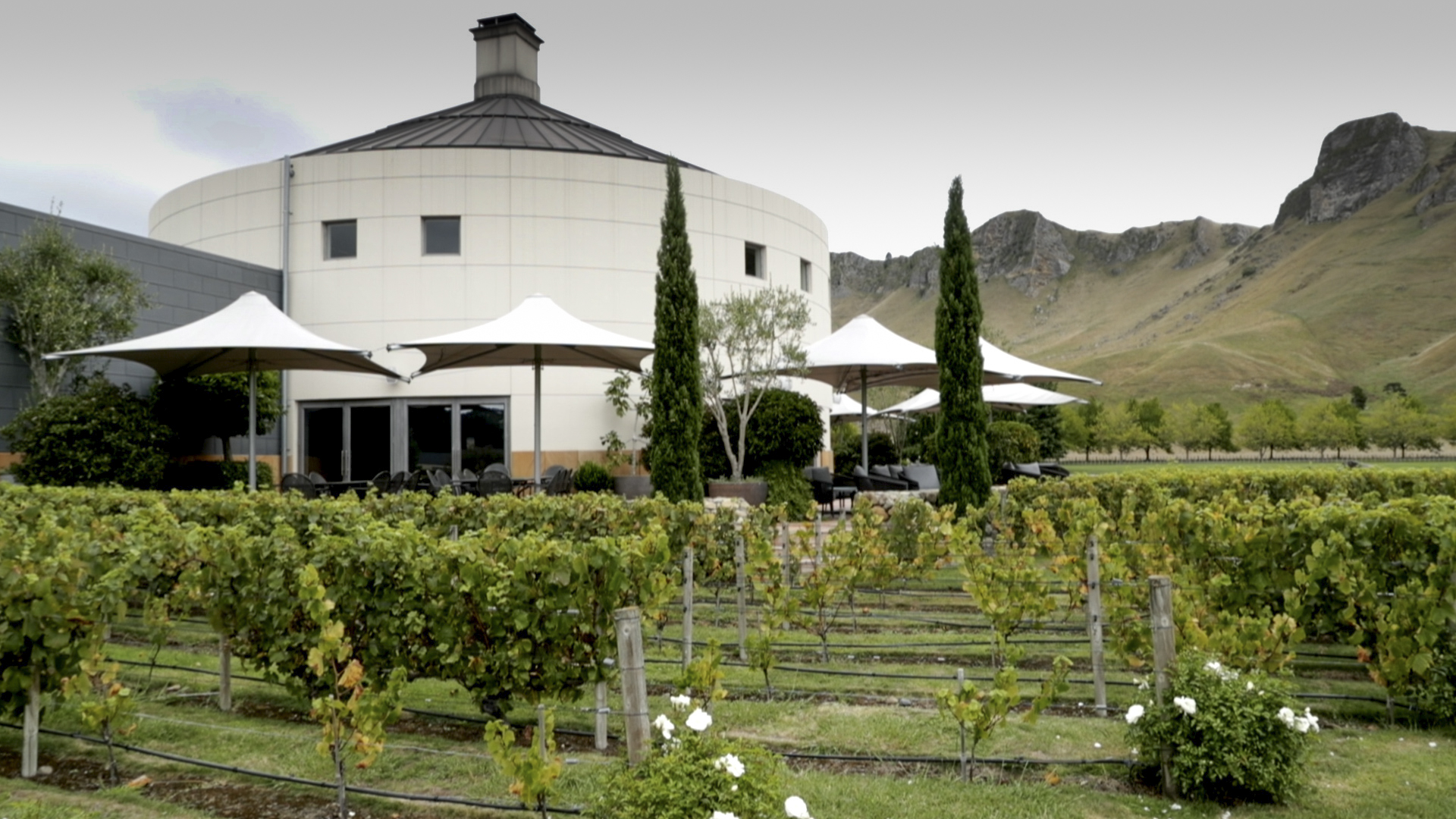The restaurant building at Craggy Range. Photo / Warren Buckland