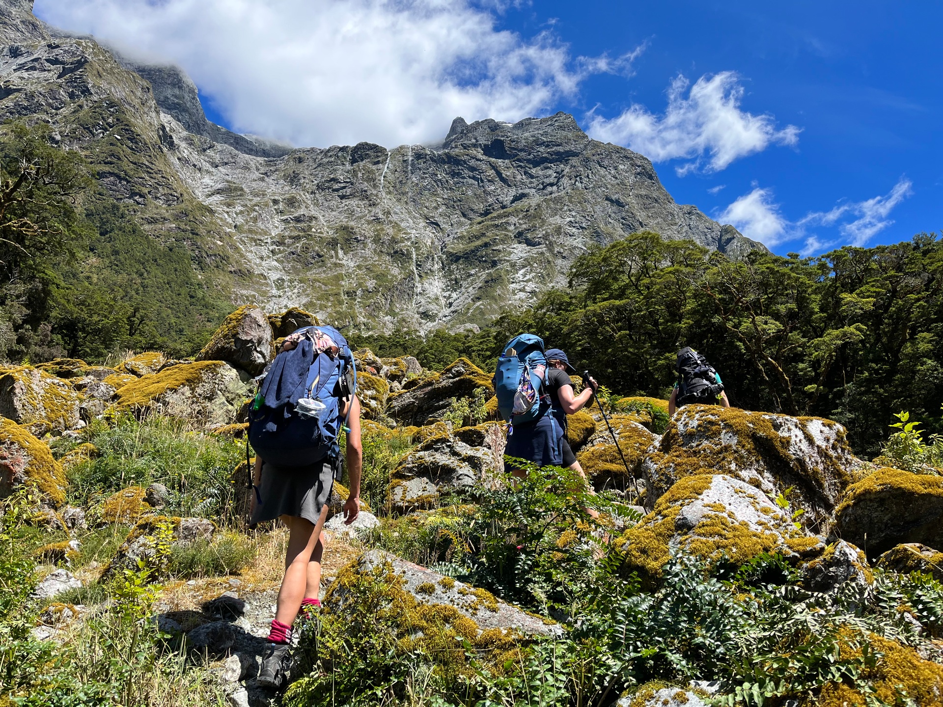 Milford sound hike top booking