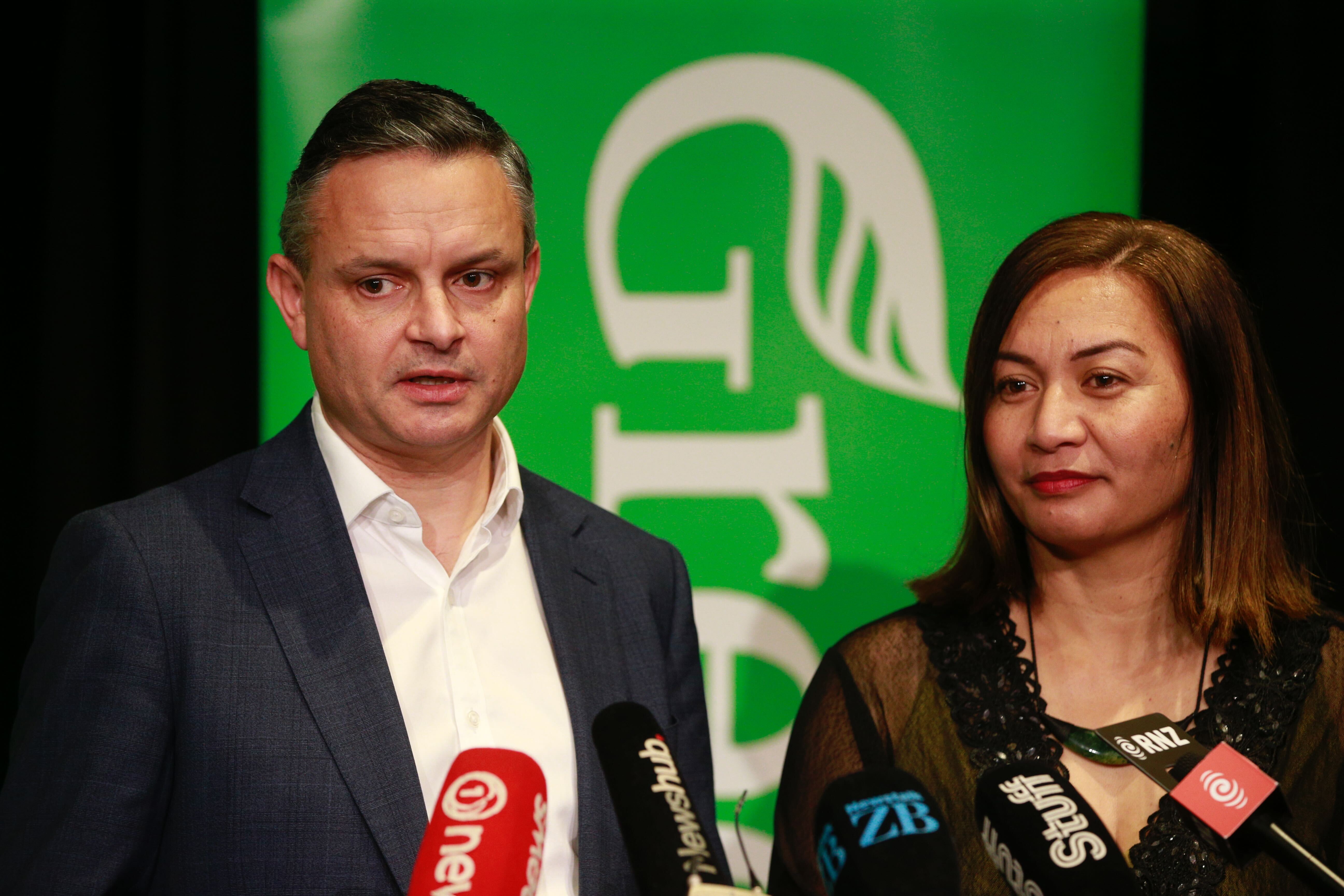 Green co-leaders James Shaw and Marama Davidson. Photo / Alex Burton