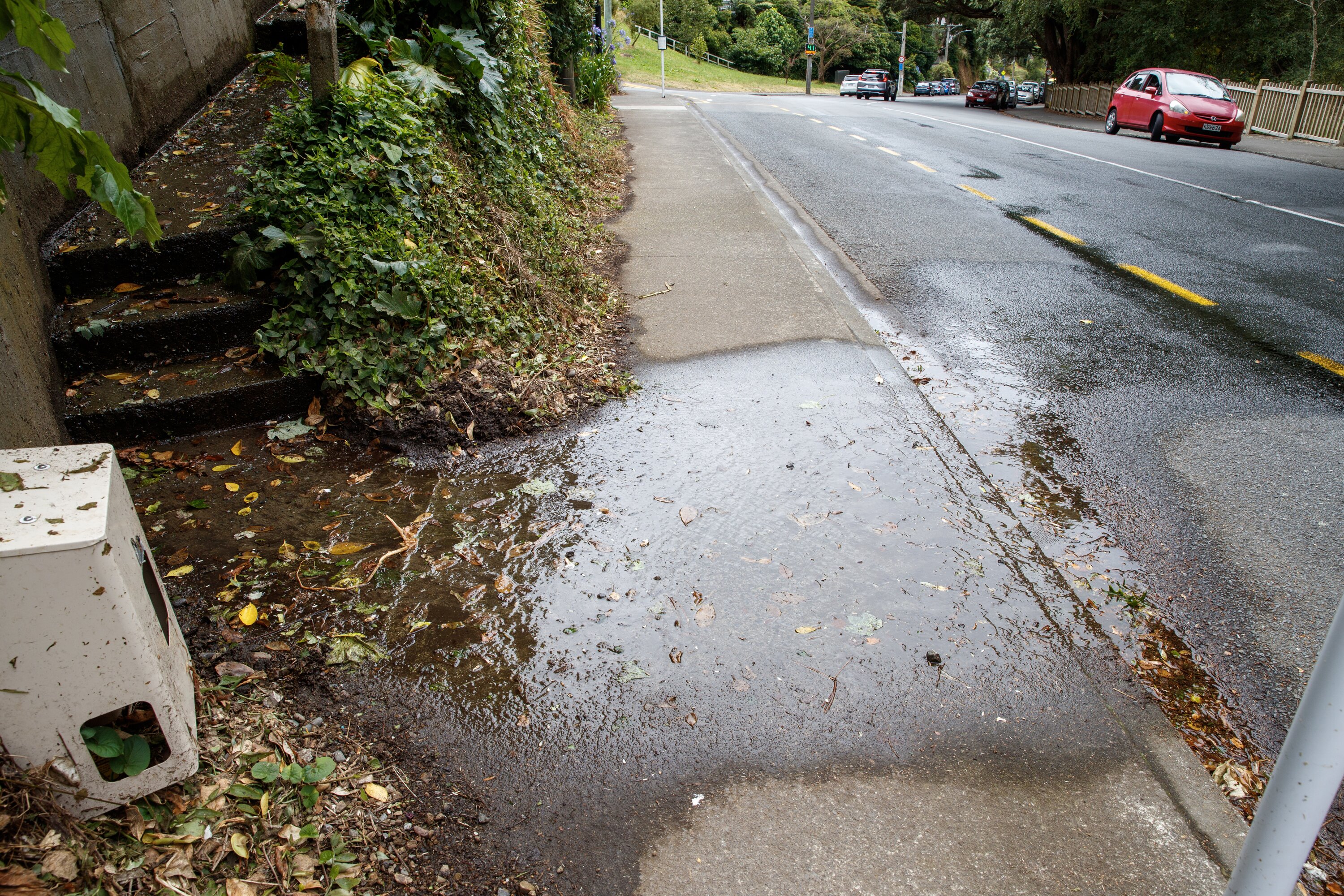 About 44 per cent of the region’s drinking water is now being lost through leaks. Photo / Mark Mitchell