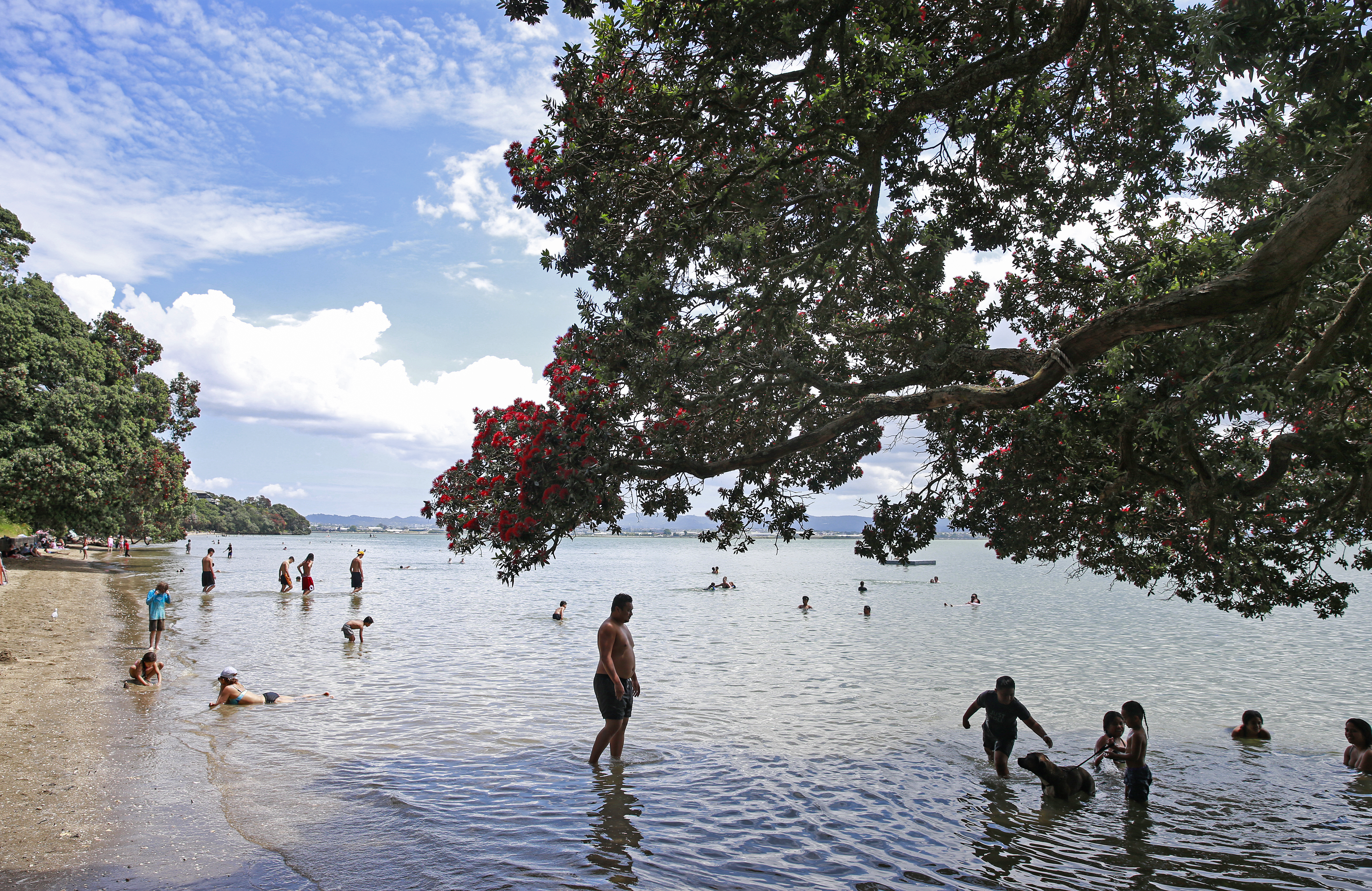 Pt Chevalier beach. Photo / Alex Burton 