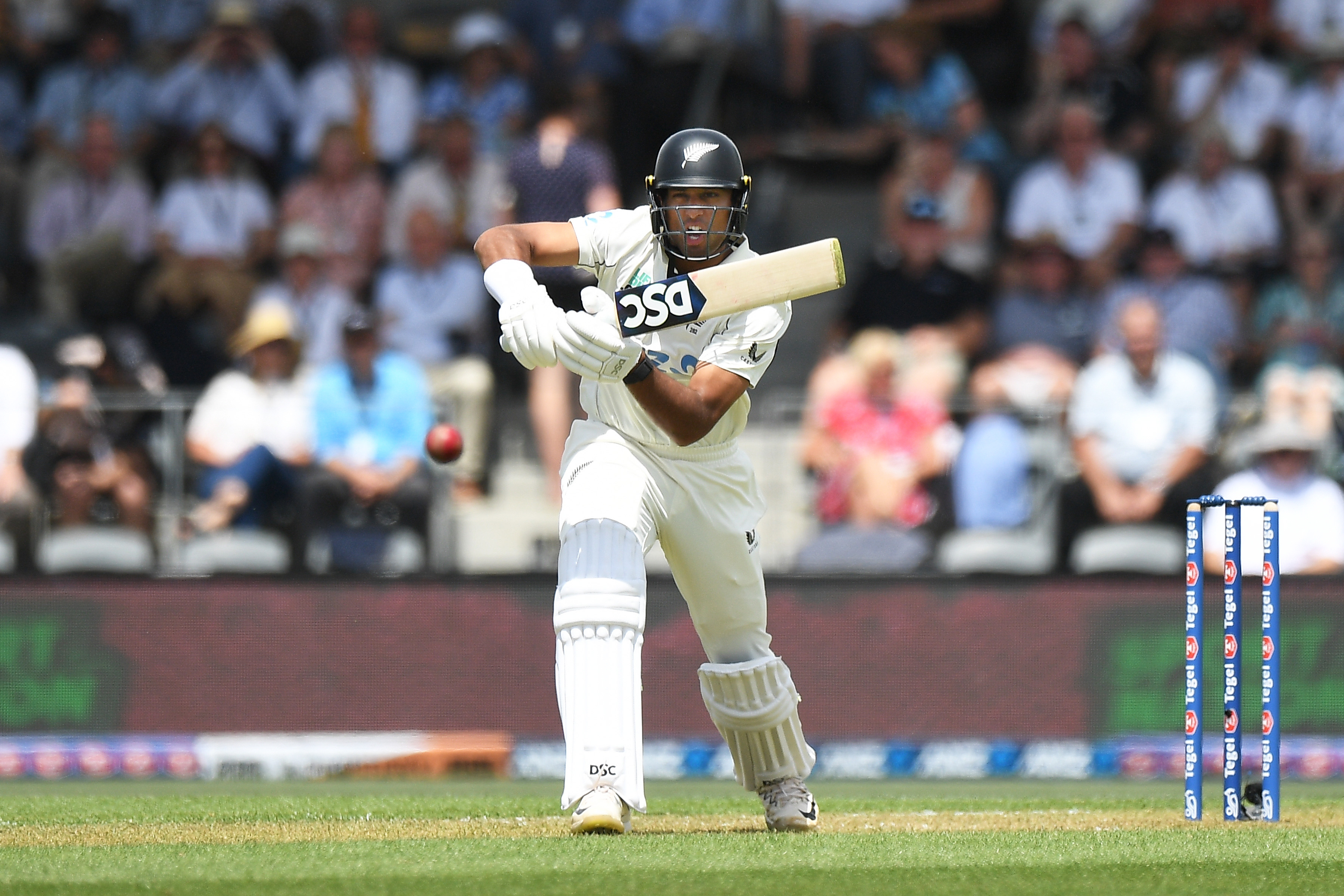Rachin Ravindra in action in the whites against England at the Basin Reserve. Photo / Photosport