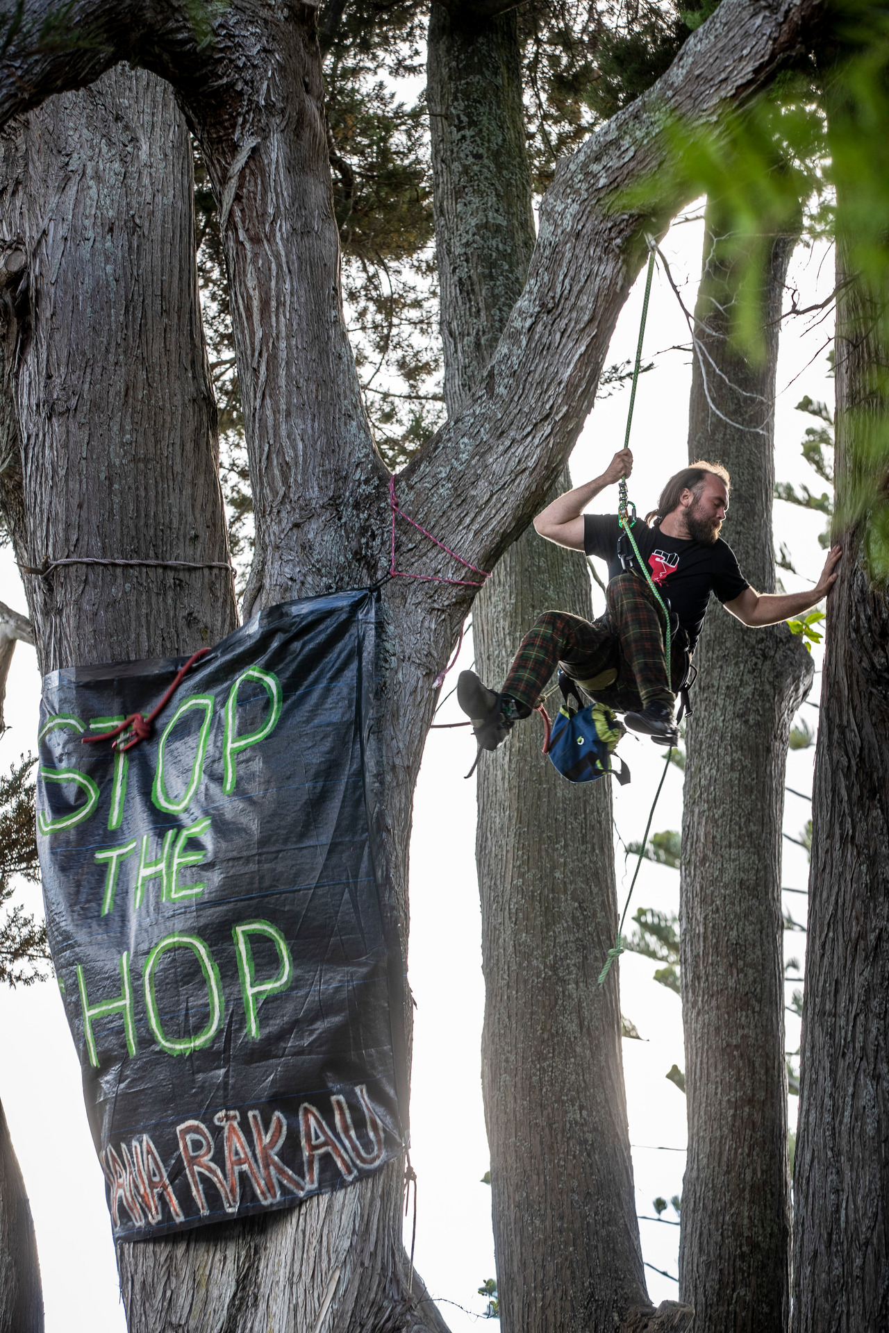 Local residents have been operating a roster, spending nights in the tree to protect it from the developer's sword. Photo / Michael Craig