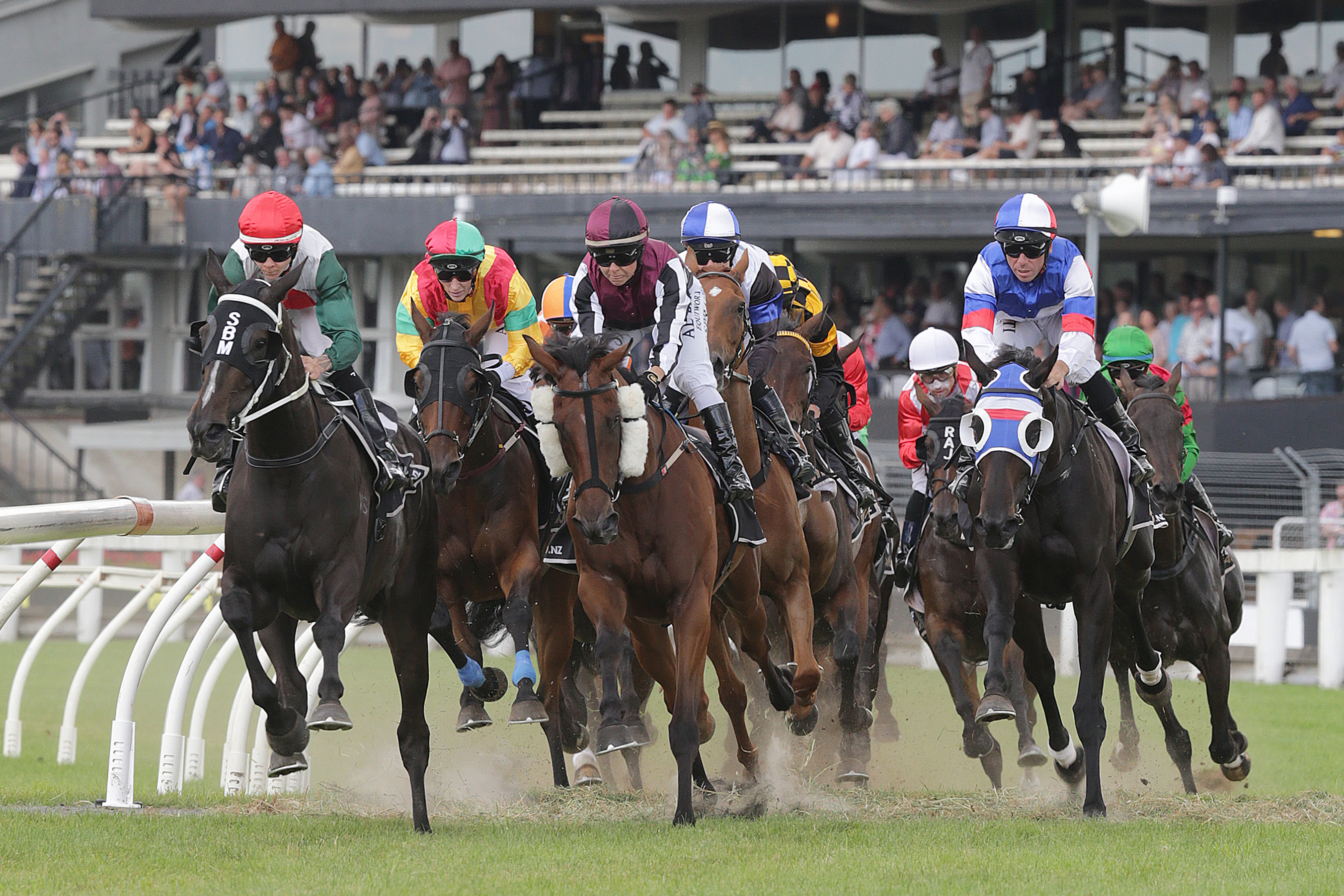 Race clubs don't yet know what stakes they can offer next season. Photo / Trish Dunell