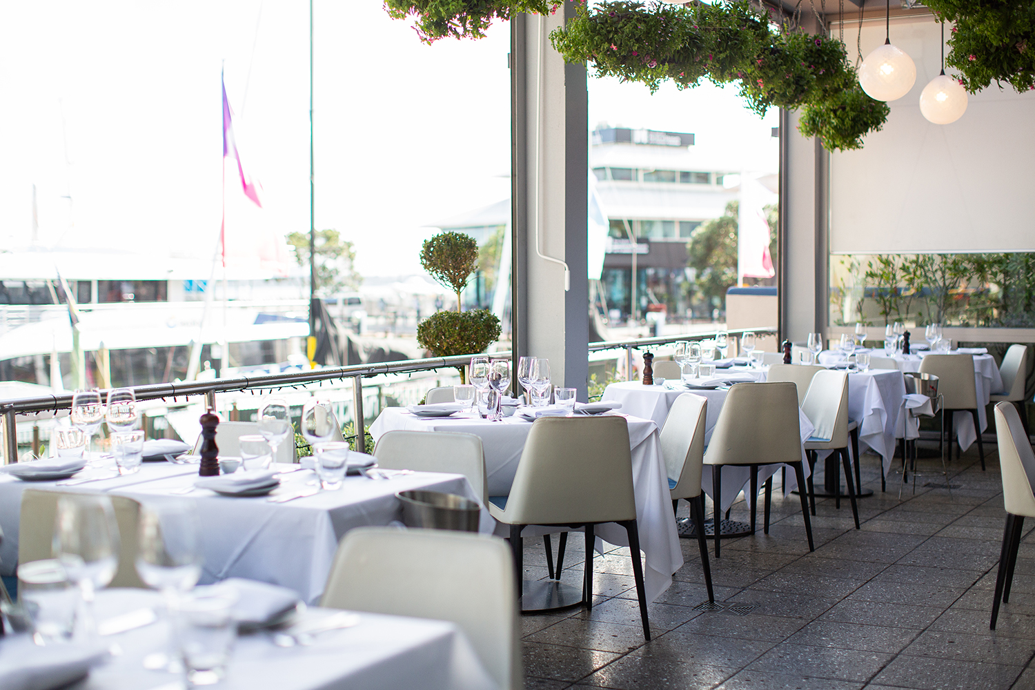 The restaurant looks out to Auckland's Viaduct Harbour. Photo / Babiche Martens