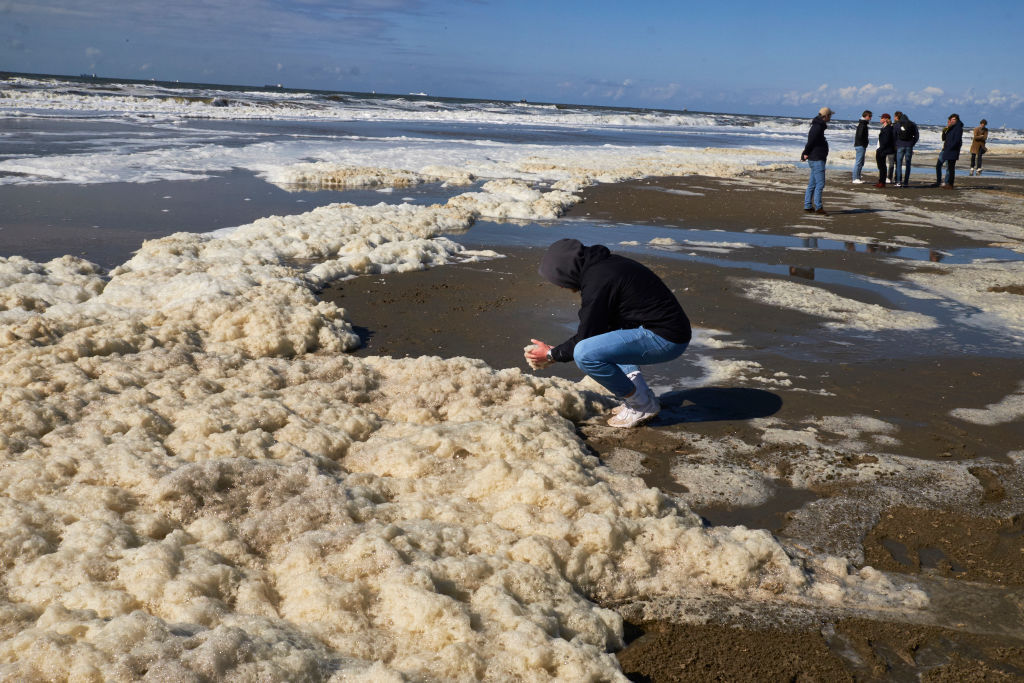 Scheveningen surfing deals