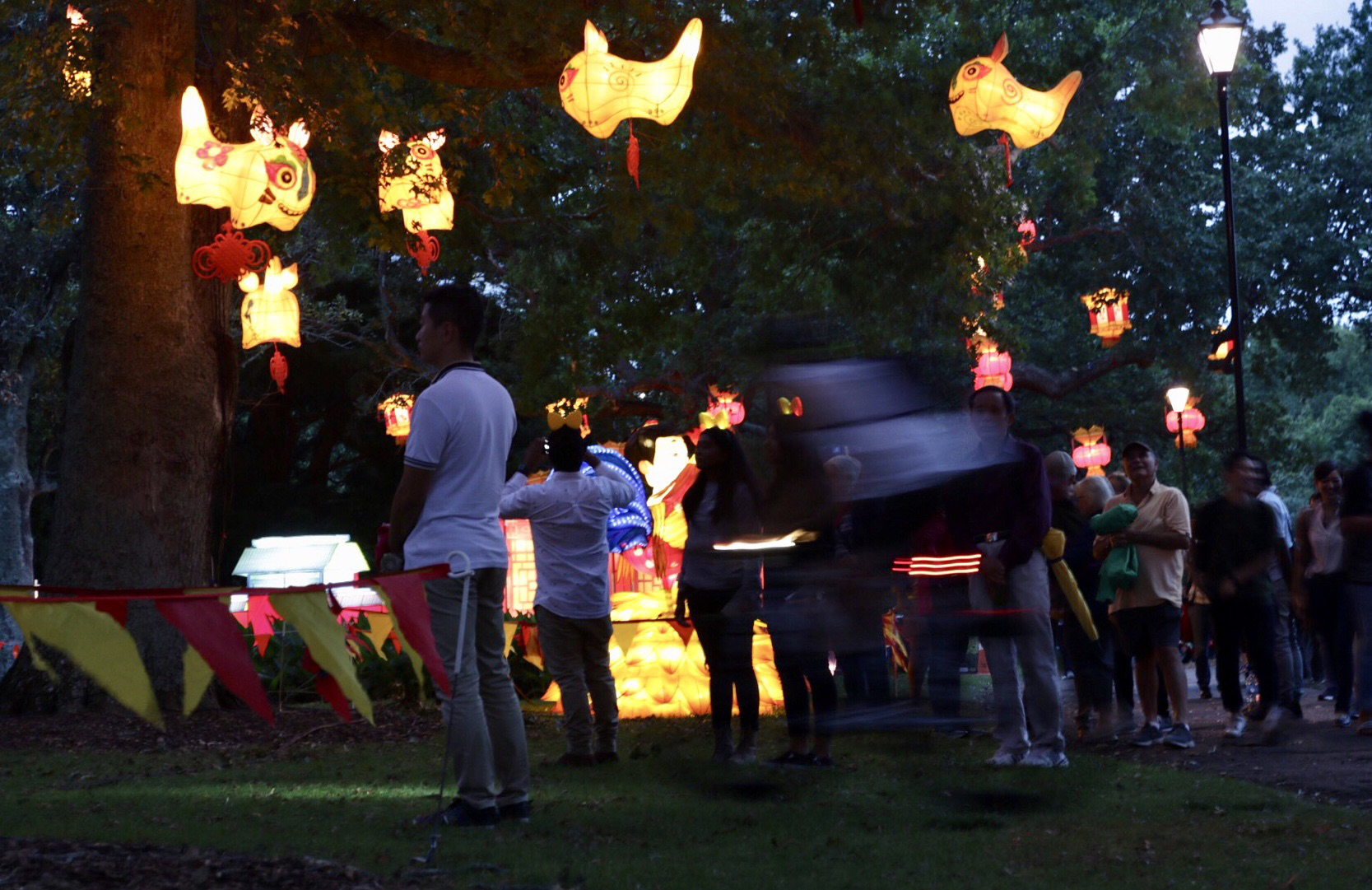 The Lantern Festival at the Auckland Domain in 2018. Photo / Nick Reed
