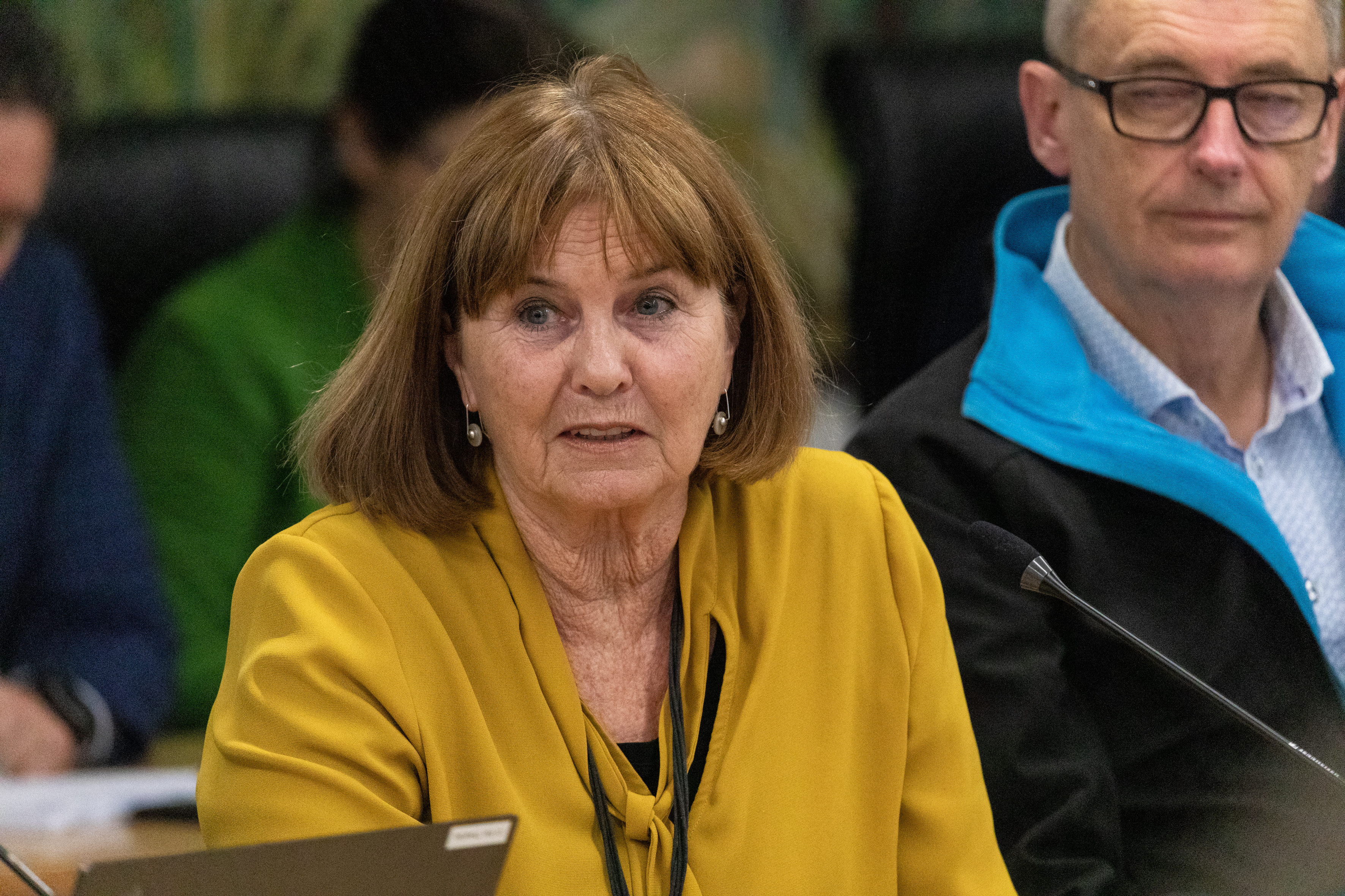 Western Bay of Plenty District councillor Anne Henry tells Waka Kotahi NZ Transport Agency she's sick of the back and forth of funding for local roading projects. Photo / Alex Cairns