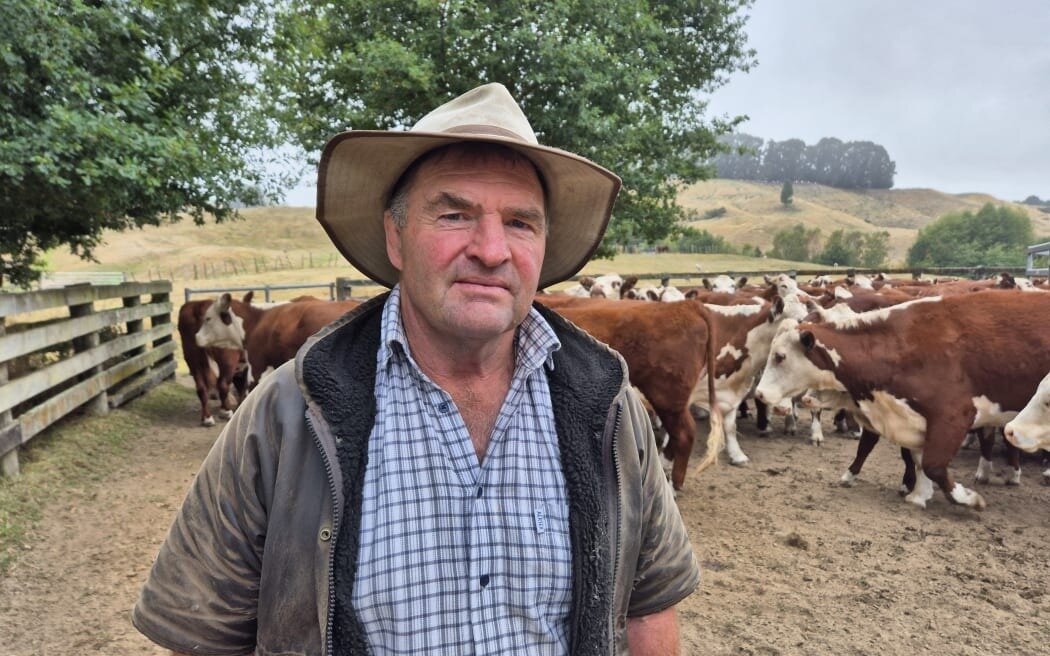 Tihoi farmer Alex Richardson has lived in the area for 33 years and says this is the worst drought since 2008. Photo / RNZ / Alexa Cook