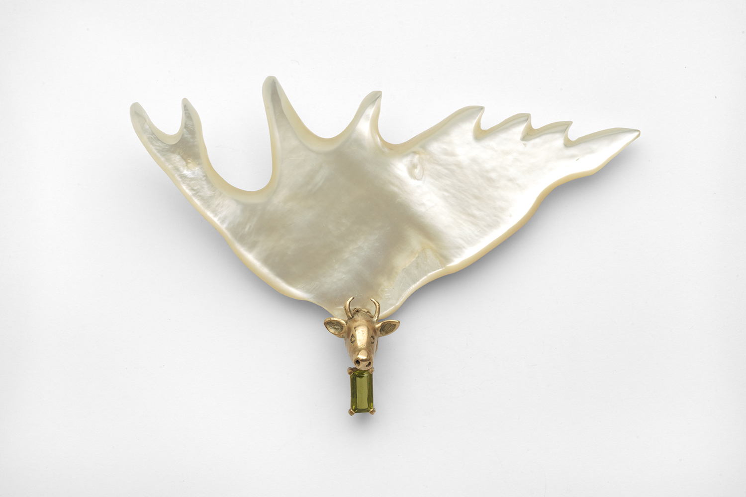 You can see Jane Dodd's works, including this brooch, at the 'Wild Domain: The Natural History of Jane Dodd Jewellery' exhibition at The Dowse Art Museum. Photo / Supplied